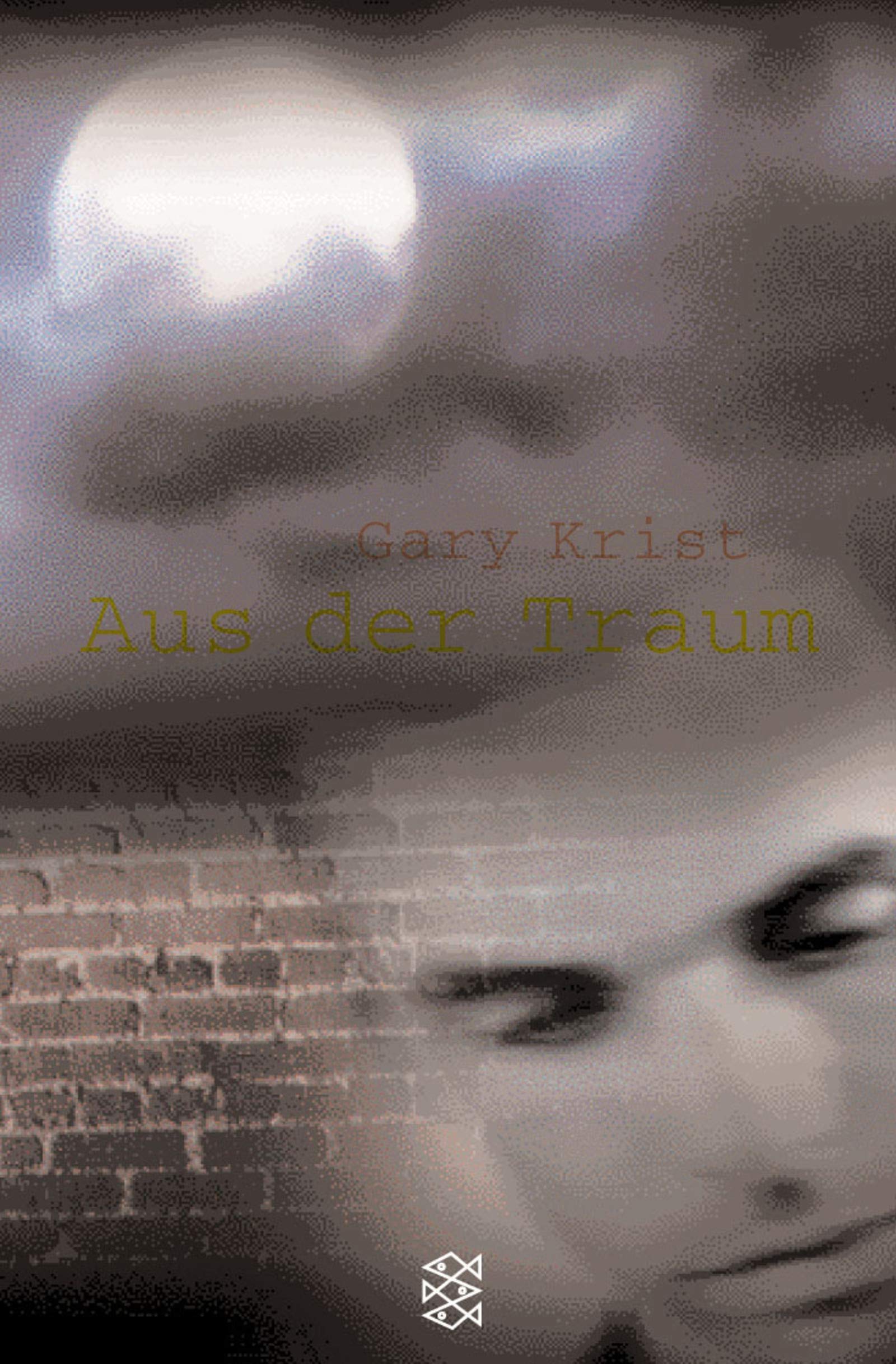 Aus der Traum: Roman (Fischer Taschenbücher) Crime & Thrillers