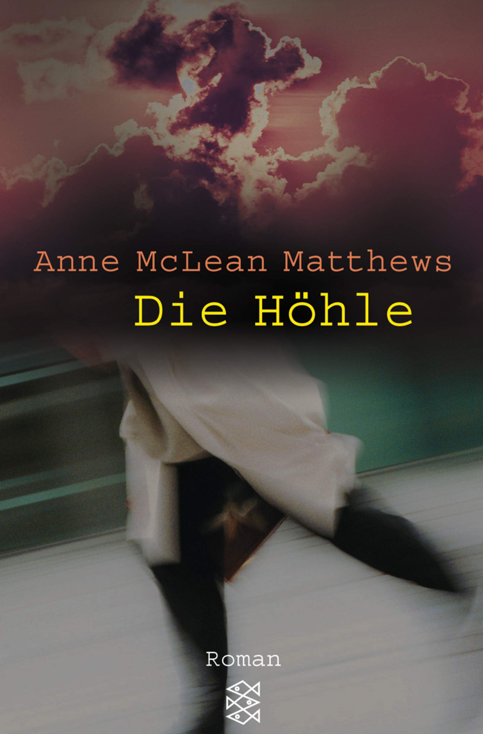 Die Höhle: Roman (Fischer Taschenbücher) Crime & Thrillers