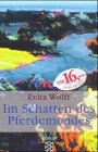 Im Schatten des Pferdemondes: Roman Contemporary literature