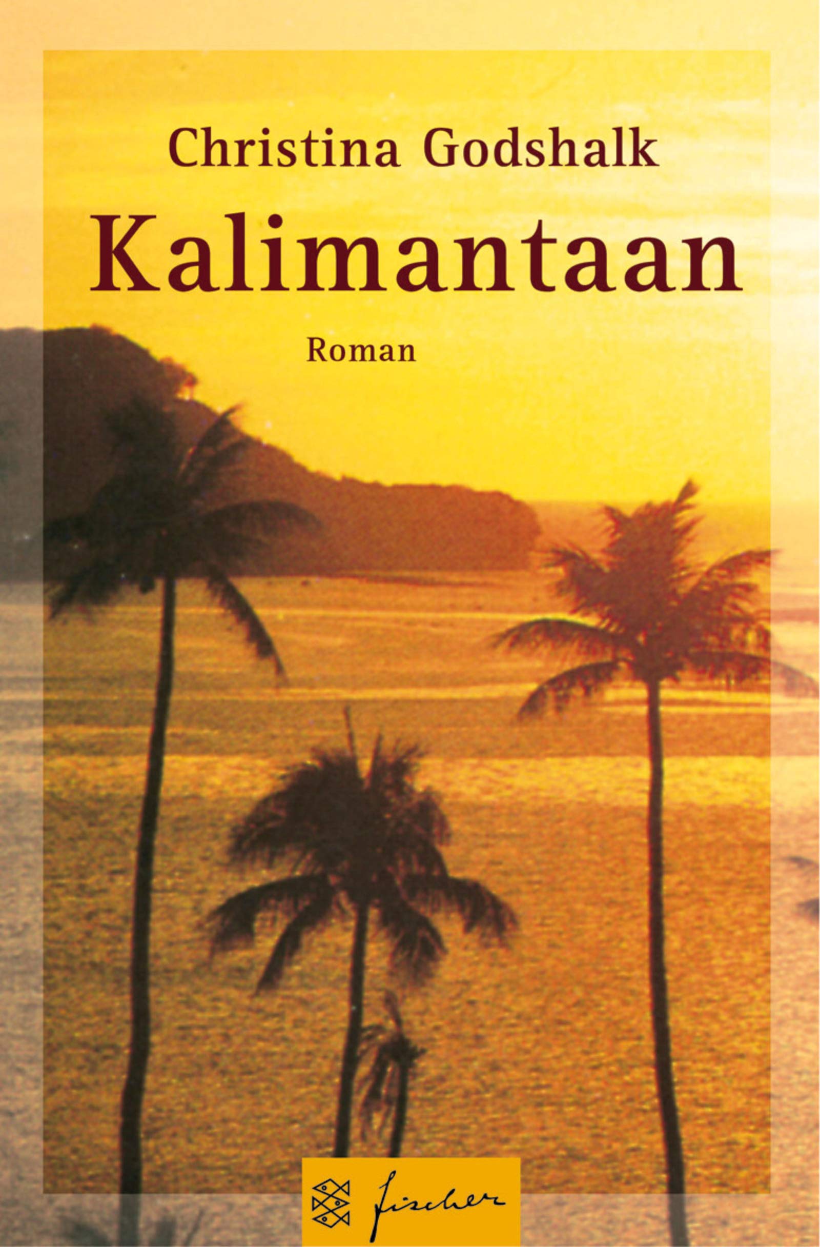Kalimantaan: Roman (Fischer Taschenbücher) Books