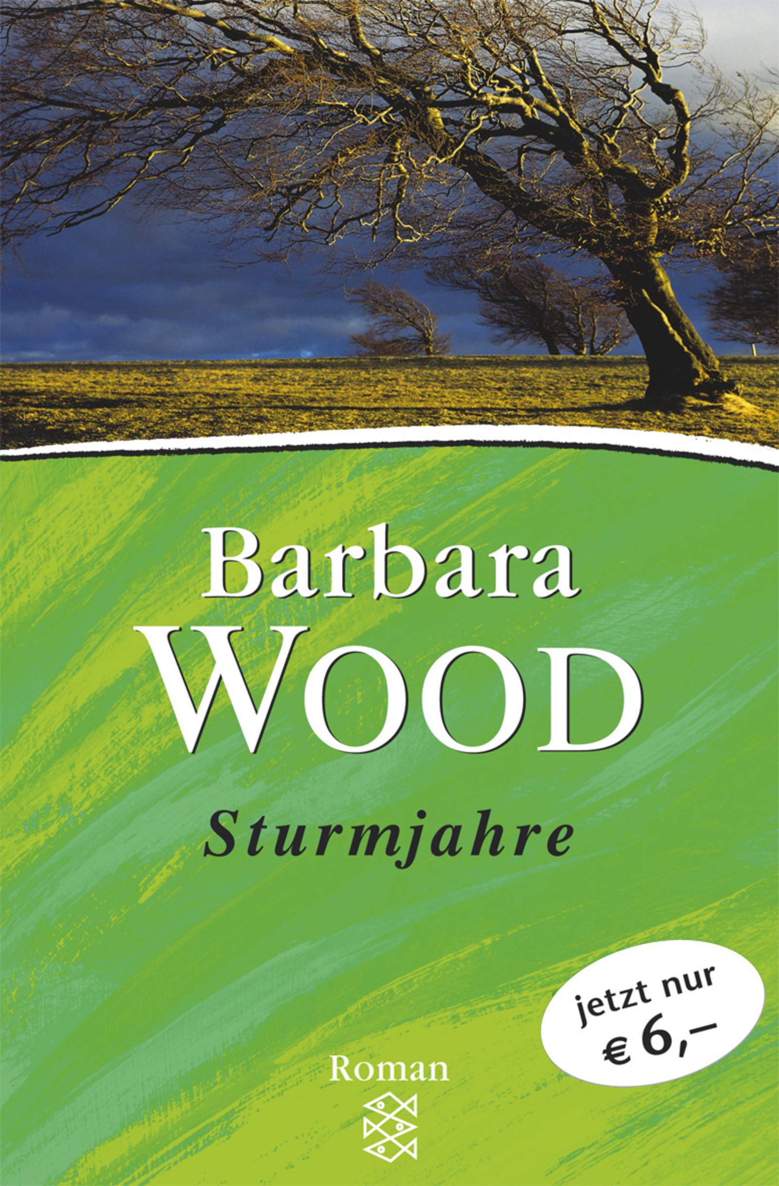 Product Image: Sturmjahre