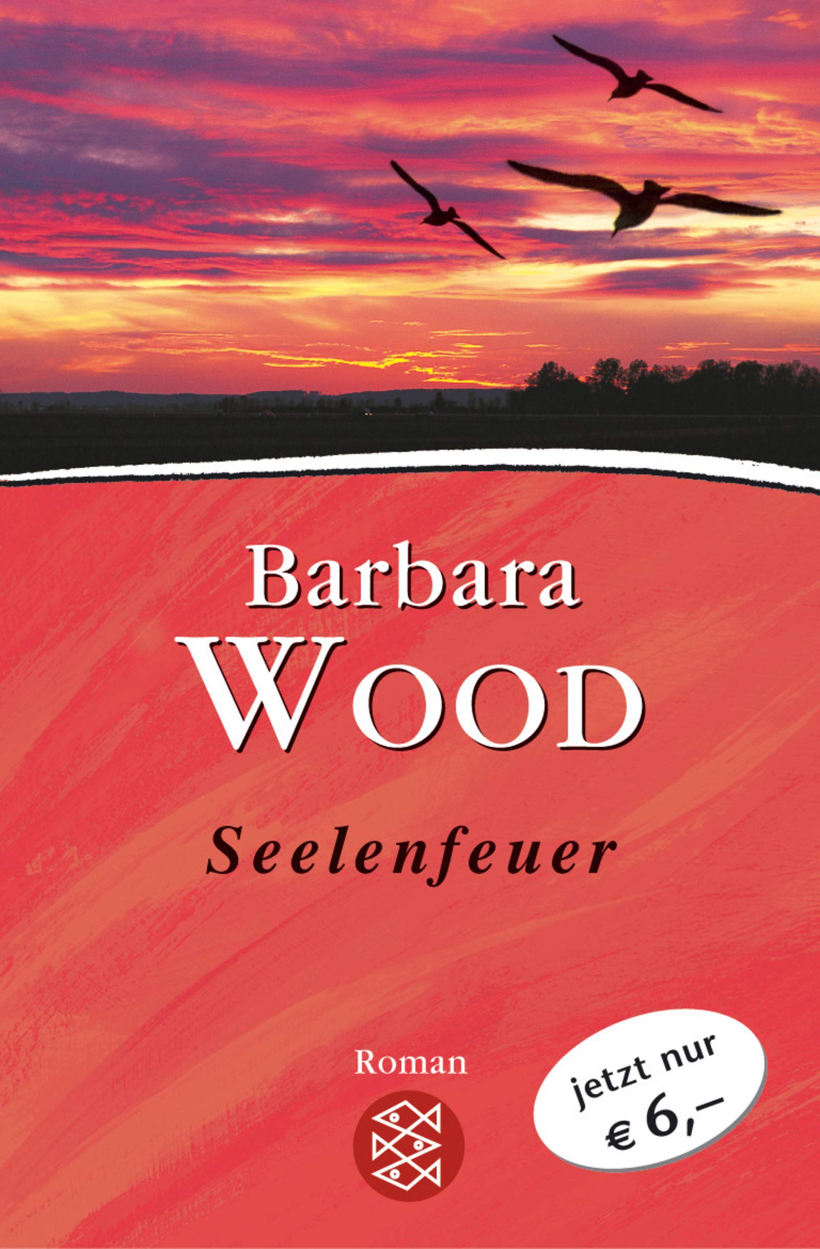 Seelenfeuer Contemporary literature Books
