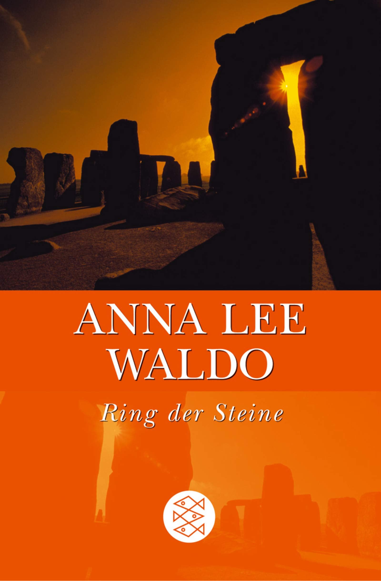 Ring der Steine: Roman Fiction Books