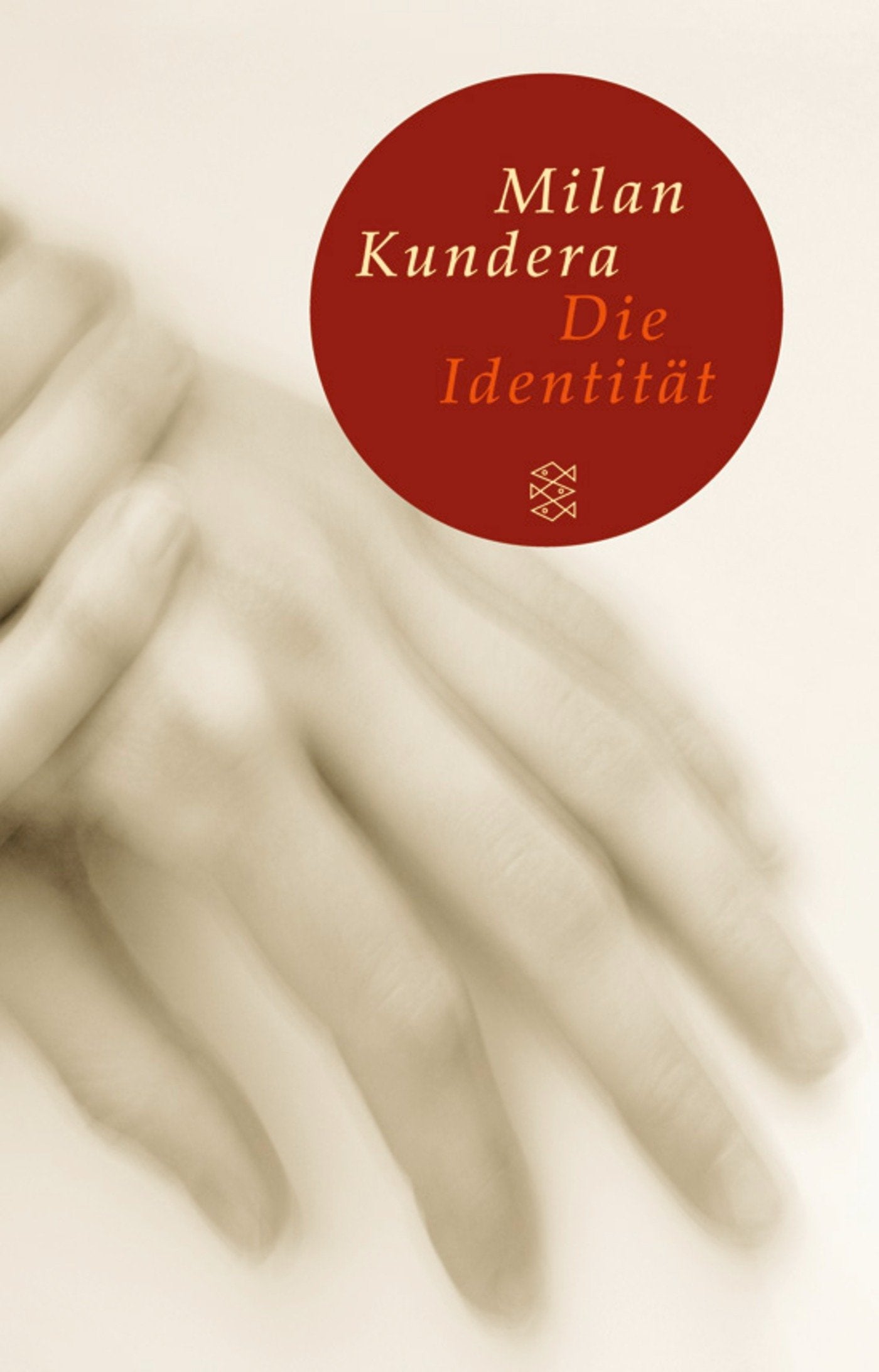 Die Identität Contemporary literature Books
