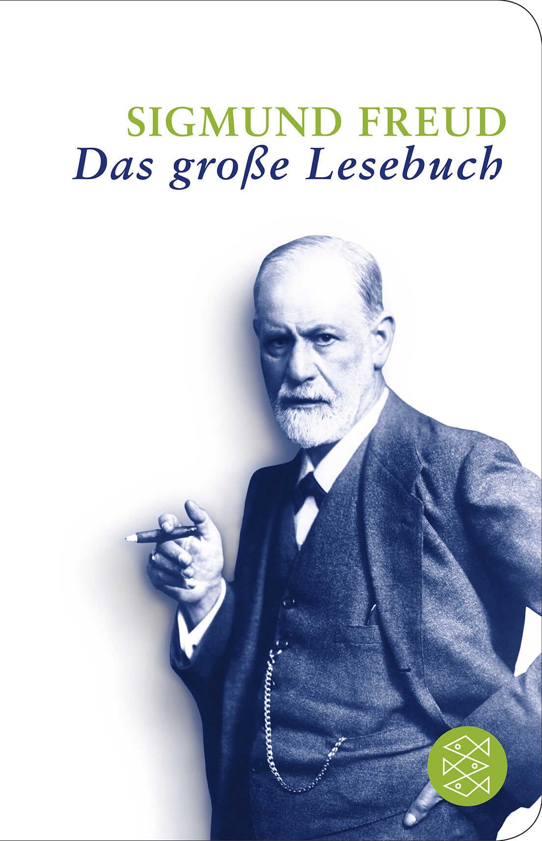 Sigmund Freud: Das große Lesebuch Contemporary literature Books