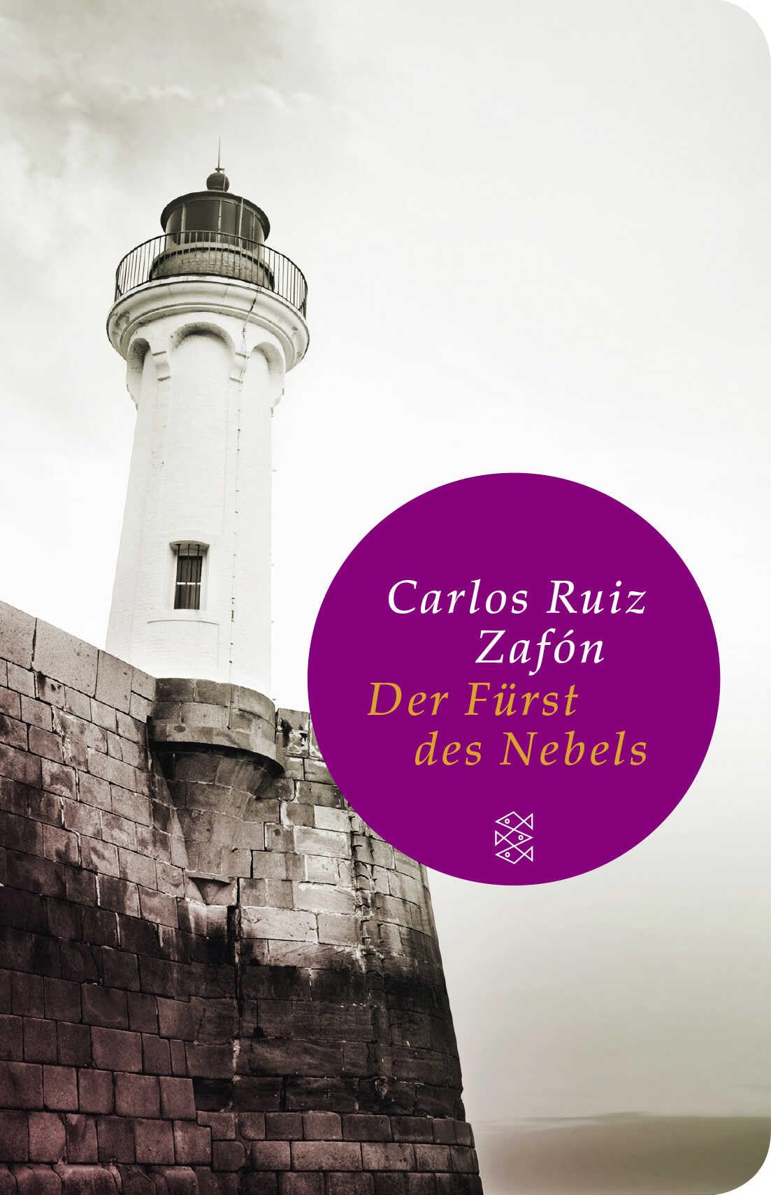 Der Fürst des Nebels: Roman | Geschenkausgabe im Miniformat (Fischer Taschenbibliothek) Contemporary literature Books