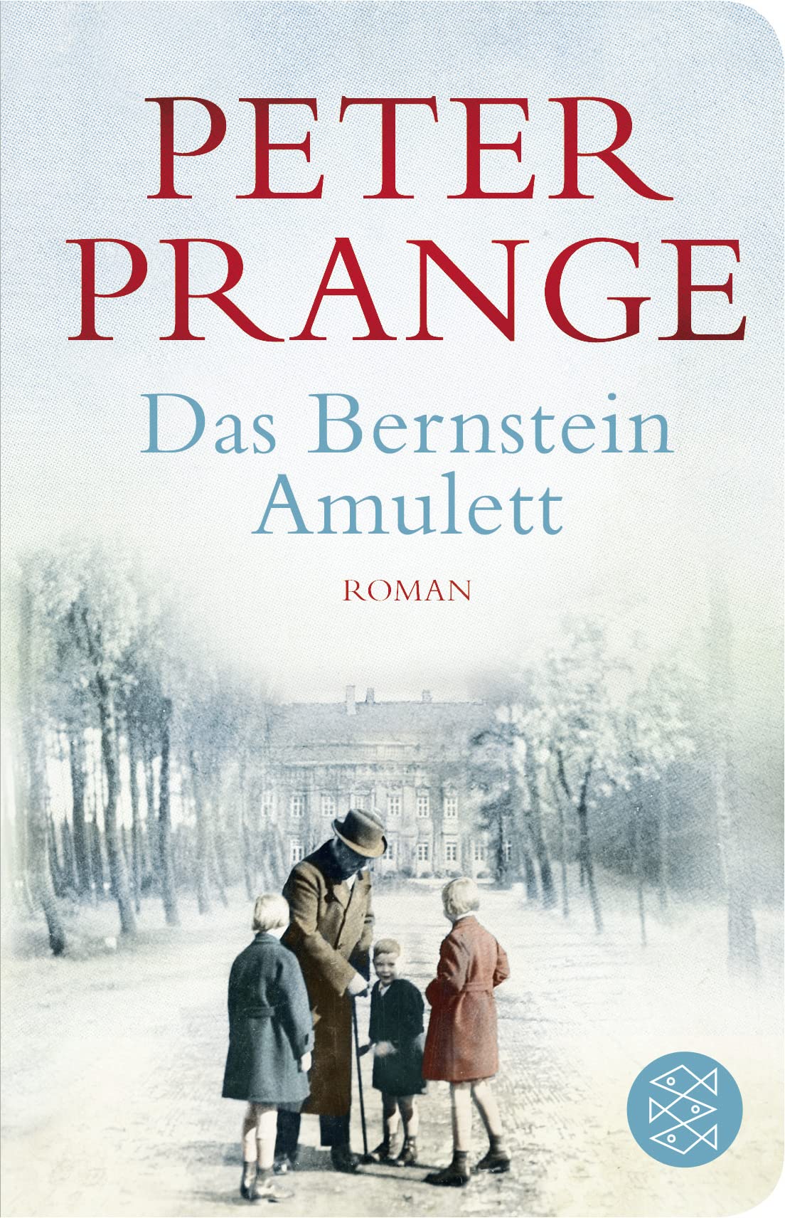 Das Bernstein-Amulett Contemporary literature Books