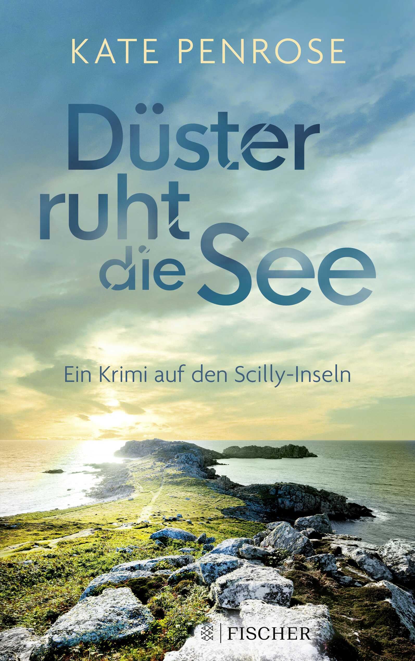 Düster ruht die See Contemporary literature Books