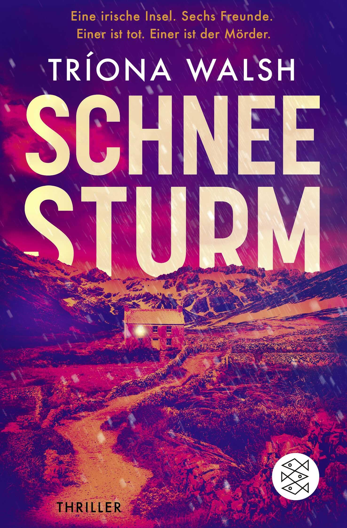 Schneesturm Contemporary literature Books