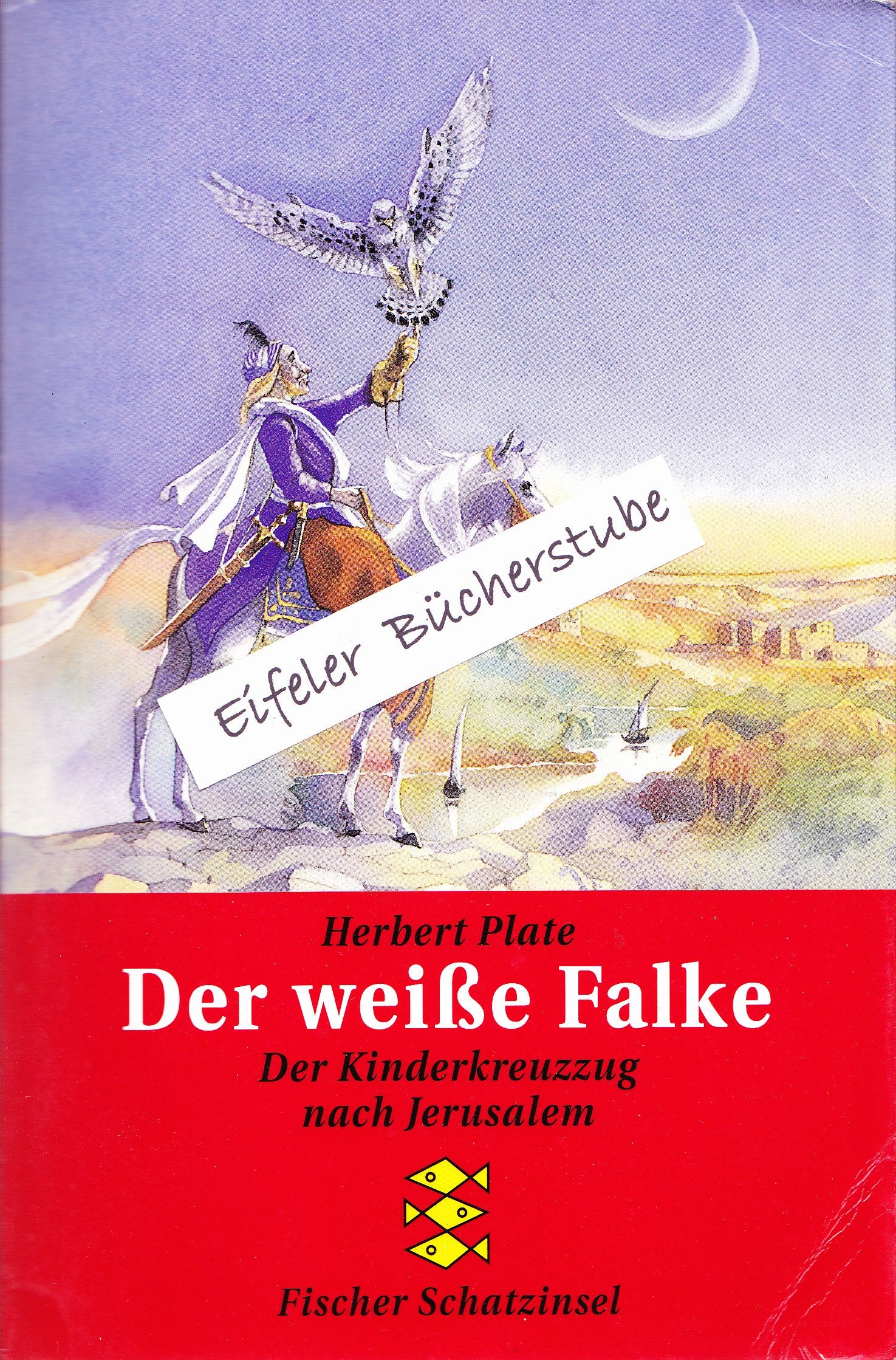 Der weisse Falke: Der Kinderkreuzzug nach Jerusalem (Fischer Schatzinsel) Books
