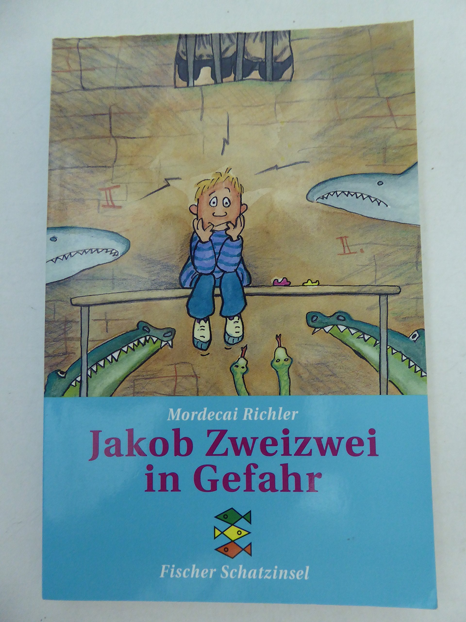 Jakob Zweizwei in Gefahr (Fischer Schatzinsel) Books
