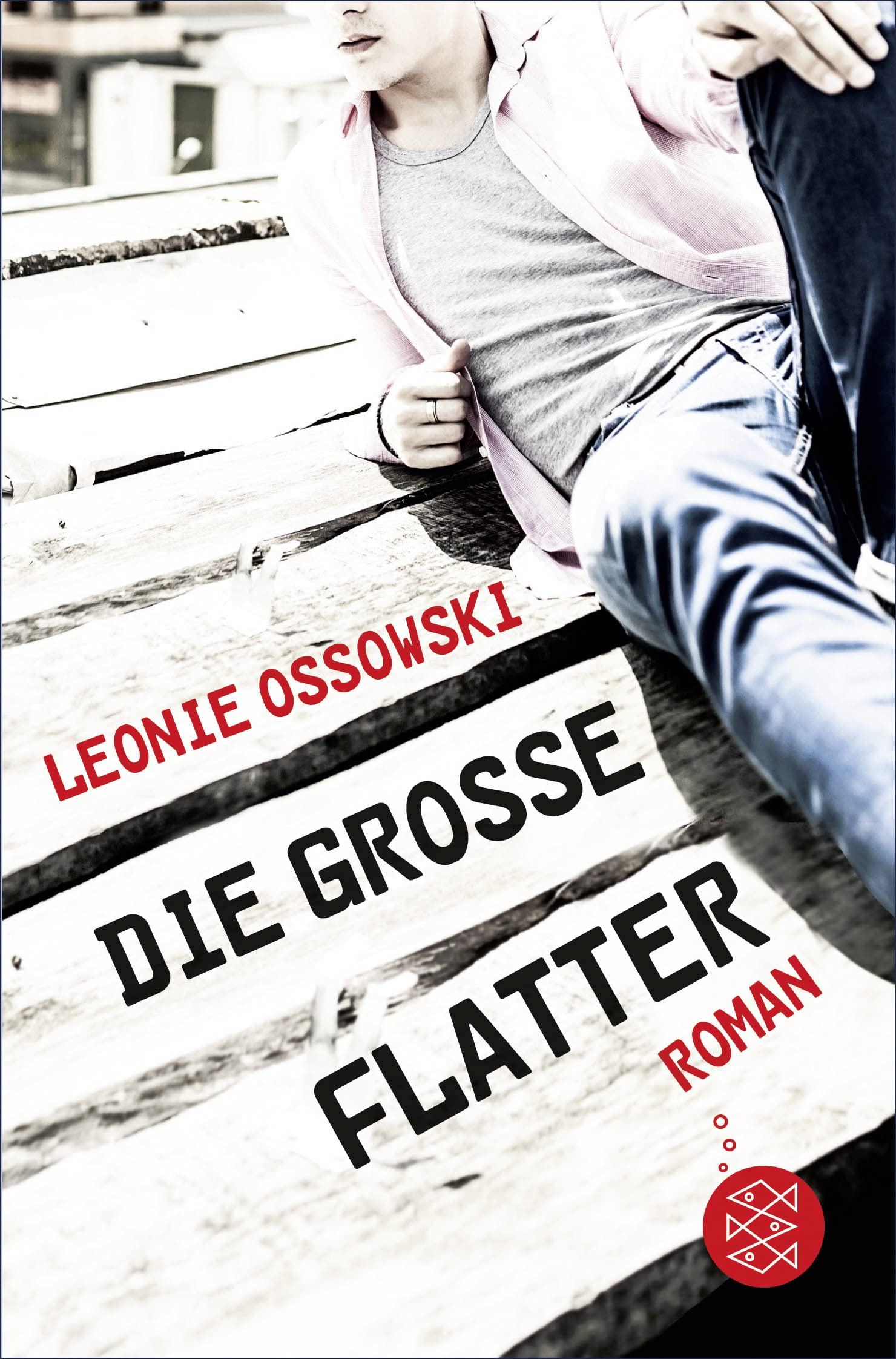Die große Flatter Contemporary literature Books