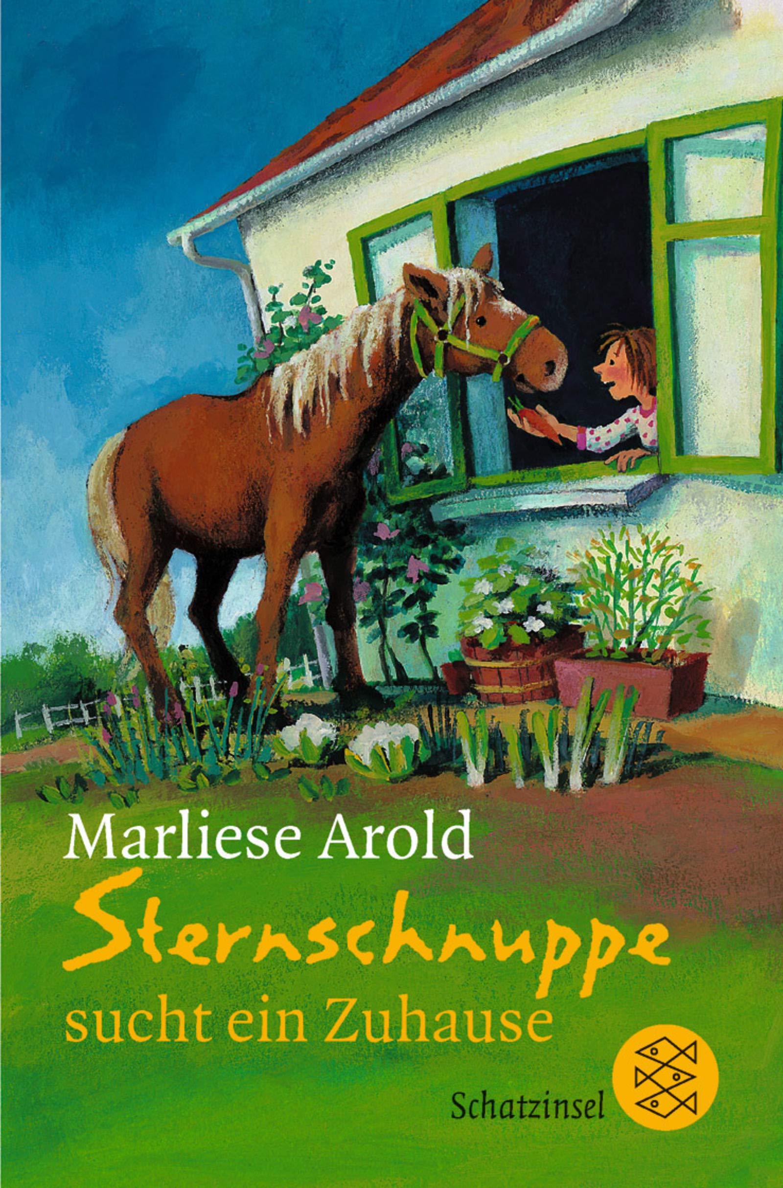 Sternschnuppe sucht ein Zuhause (Fischer Schatzinsel) Novels & Short Stories