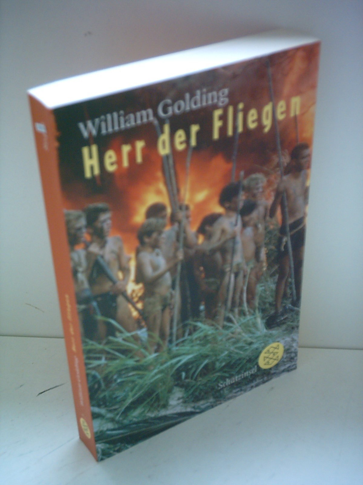 Herr der Fliegen Contemporary literature Books