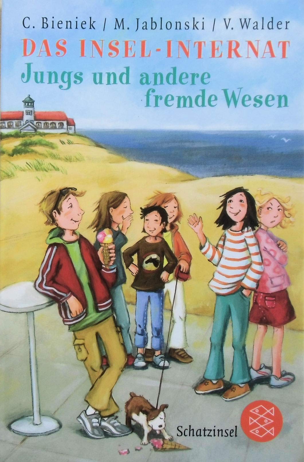 Das Insel-Internat: Jungs und andere fremde Wesen Novels & Short Stories