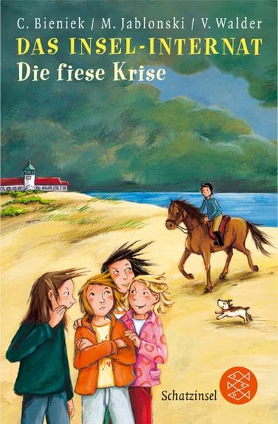 Das Insel-Internat: Die fiese Krise Novels & Short Stories