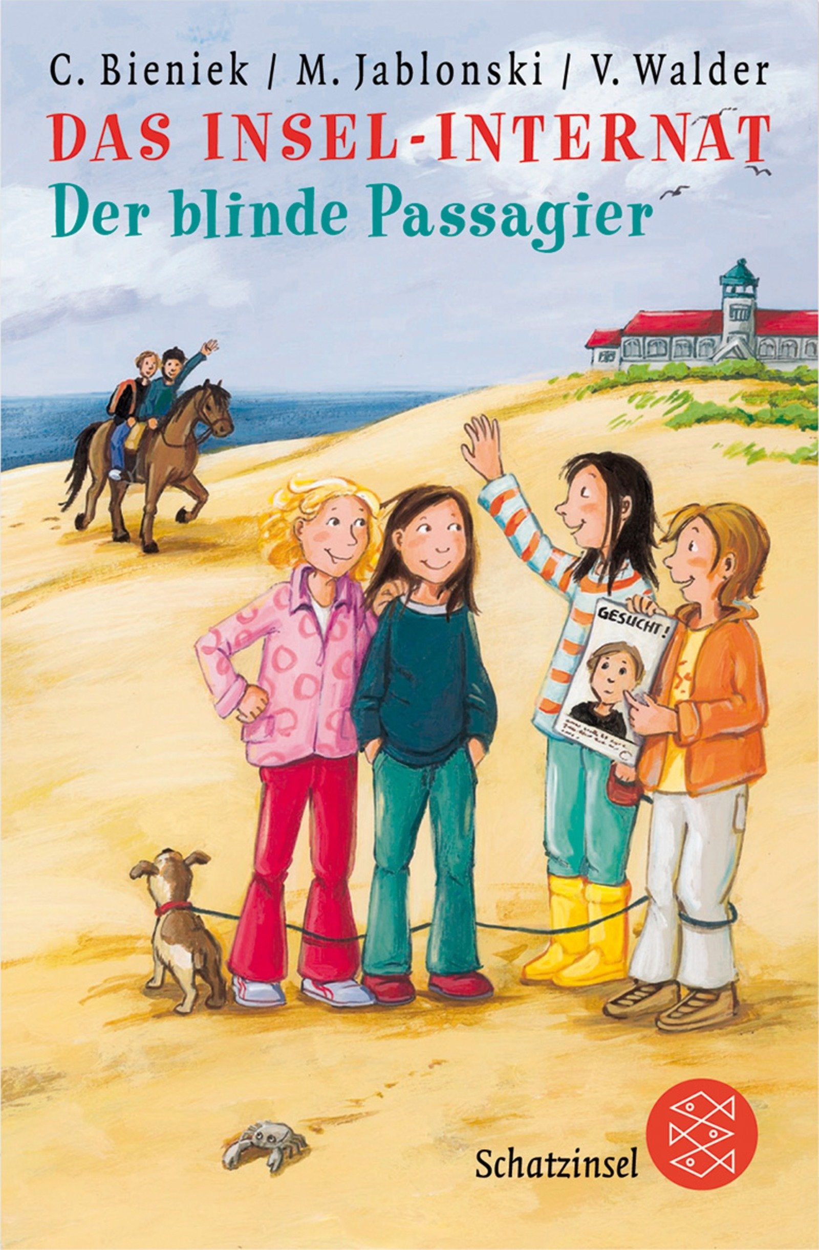 Das Insel-Internat: Der blinde Passagier (Fischer Schatzinsel) Novels & Short Stories