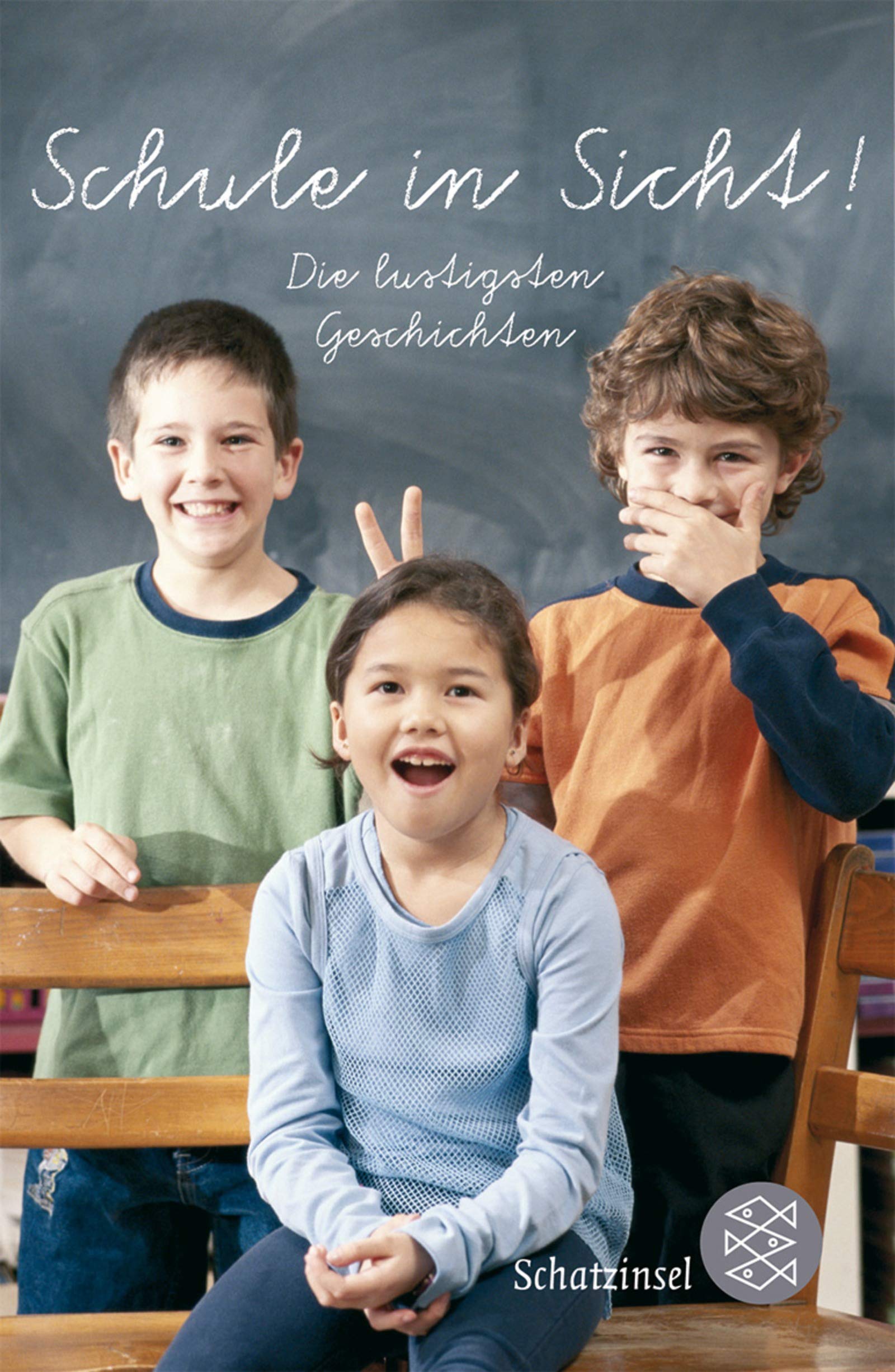 Schule in Sicht!: Die lustigsten Geschichten (Fischer Schatzinsel) Novels & Short Stories