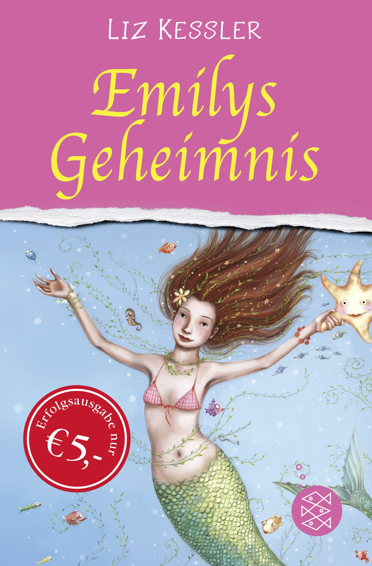 Emilys Geheimnis (Sonderausgabe) Novels & Short Stories