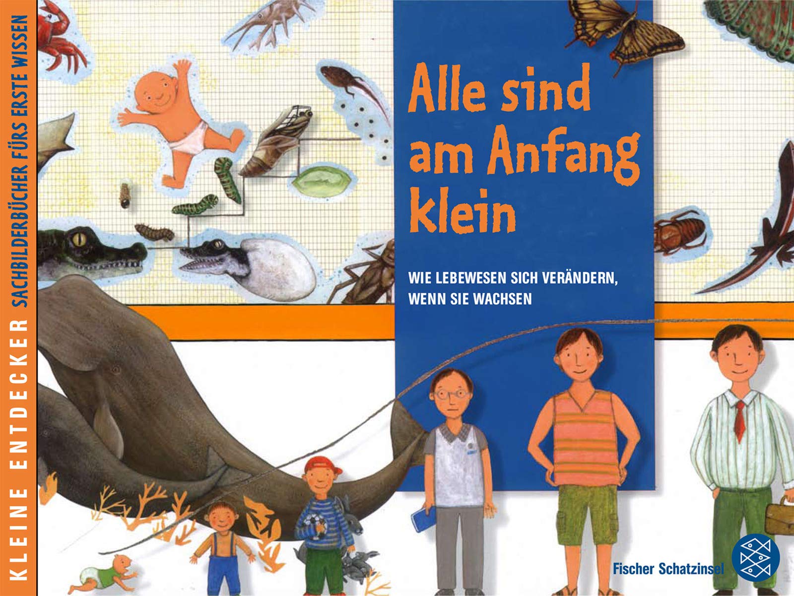Kleine Entdecker – Alle sind am Anfang klein: Wie Lebewesen sich verändern, wenn sie wachsen (Kinderbuch Hardcover) Non-fiction