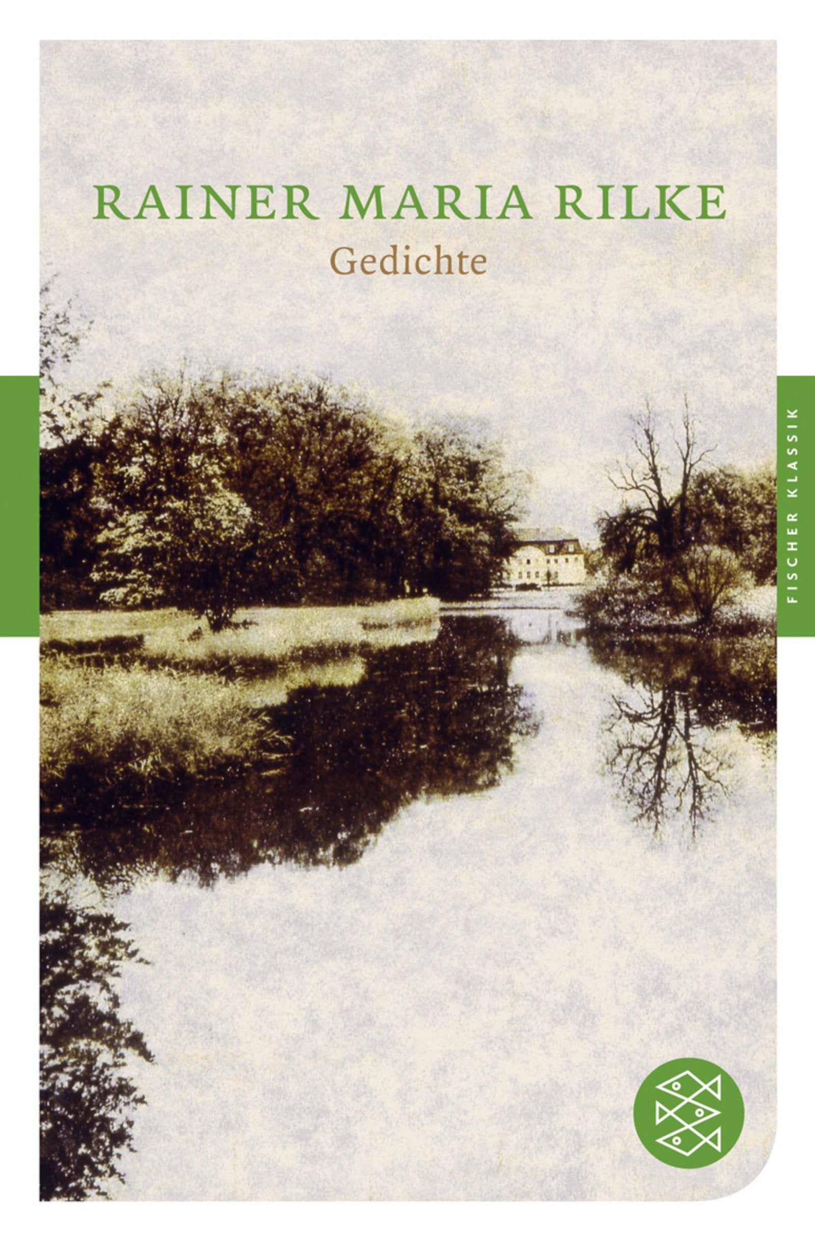 Gedichte: Mit dem Werkbeitrag aus Kindlers Literaturlexikon (Fischer Klassik, Band 90078) Contemporary literature Books
