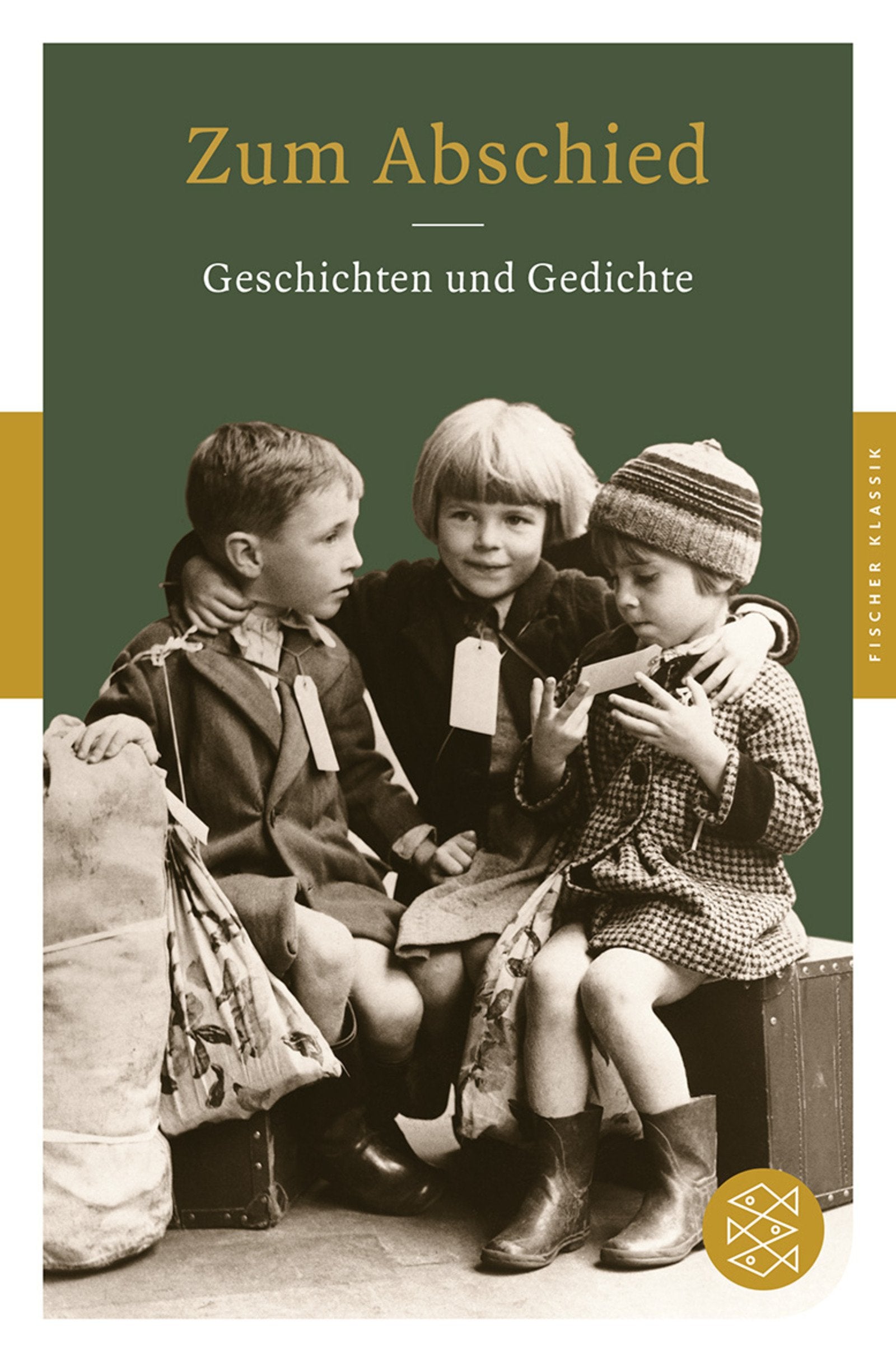 Zum Abschied: Geschichten und Gedichte (Fischer Klassik) Books