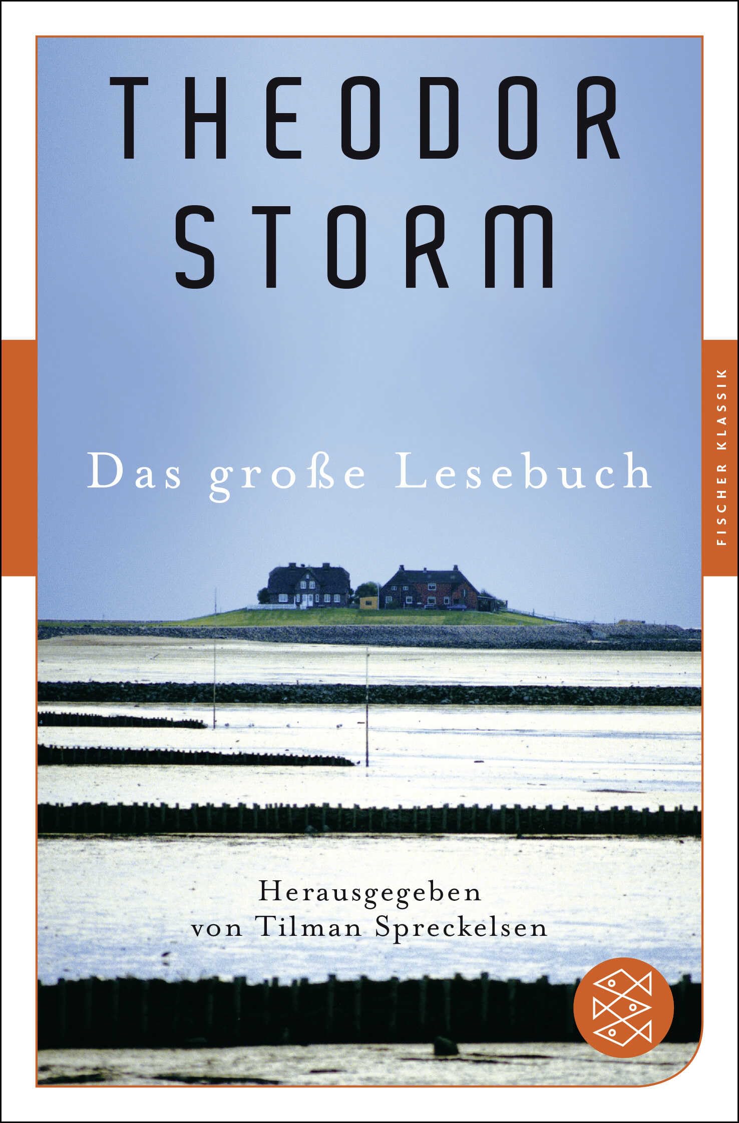 Das große Lesebuch Essays & Short Stories
