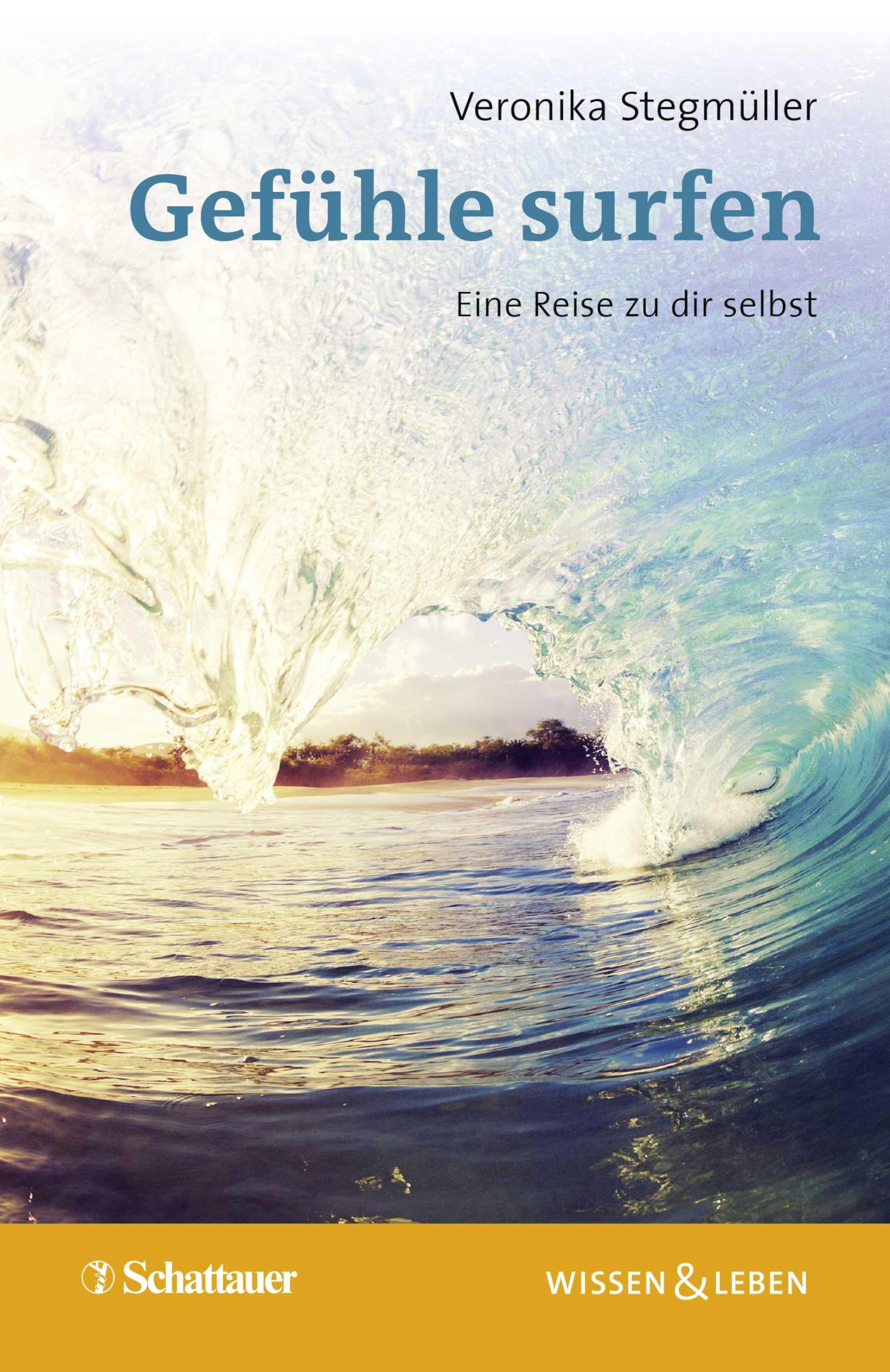 Gefühle surfen (Wissen & Leben) Psychology