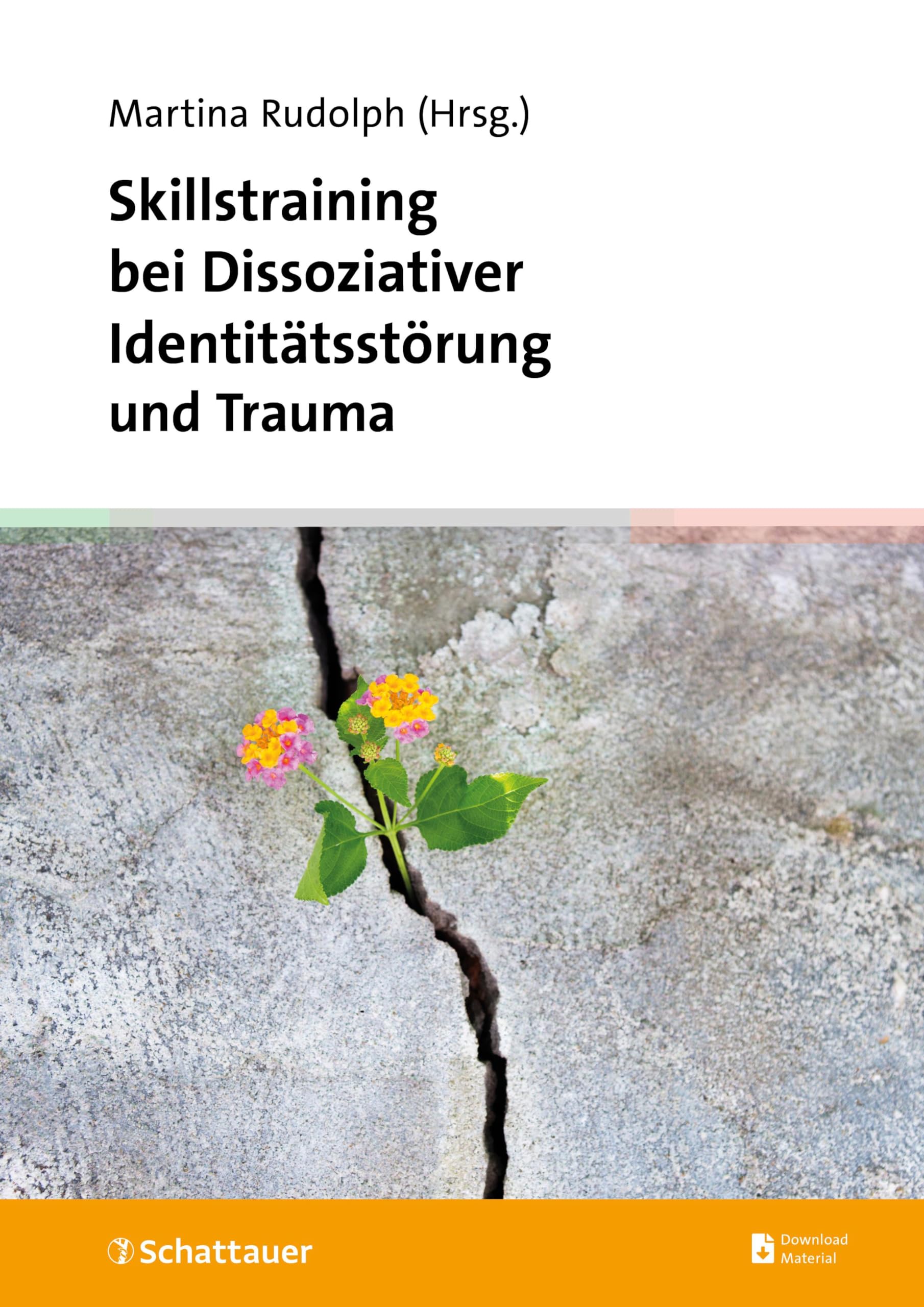 Skillstraining bei Dissoziativer Identitätsstörung und Trauma: Wegweiser durch die Behandlung der DIS Medicine