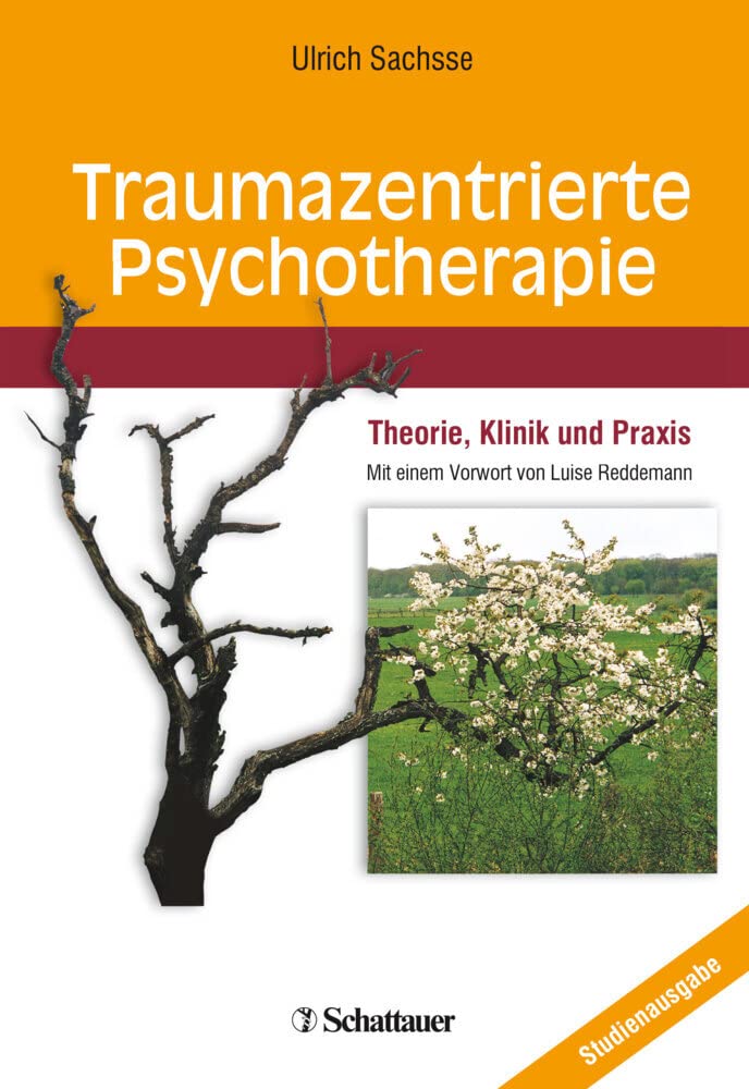 Traumazentrierte Psychotherapie Medicine