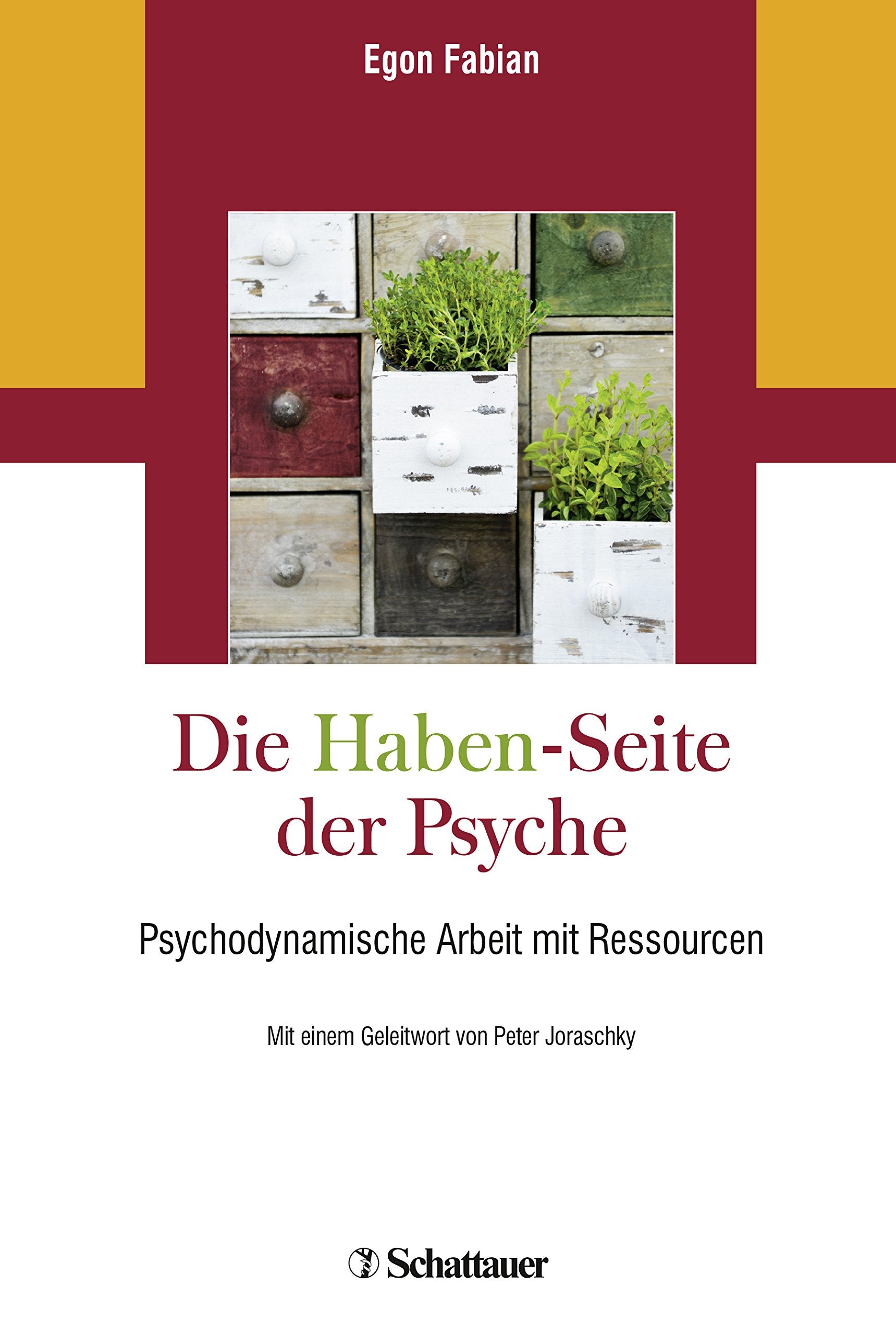 Die „Haben“-Seite der Psyche: Psychodynamische Arbeit mit Ressourcen Medicine