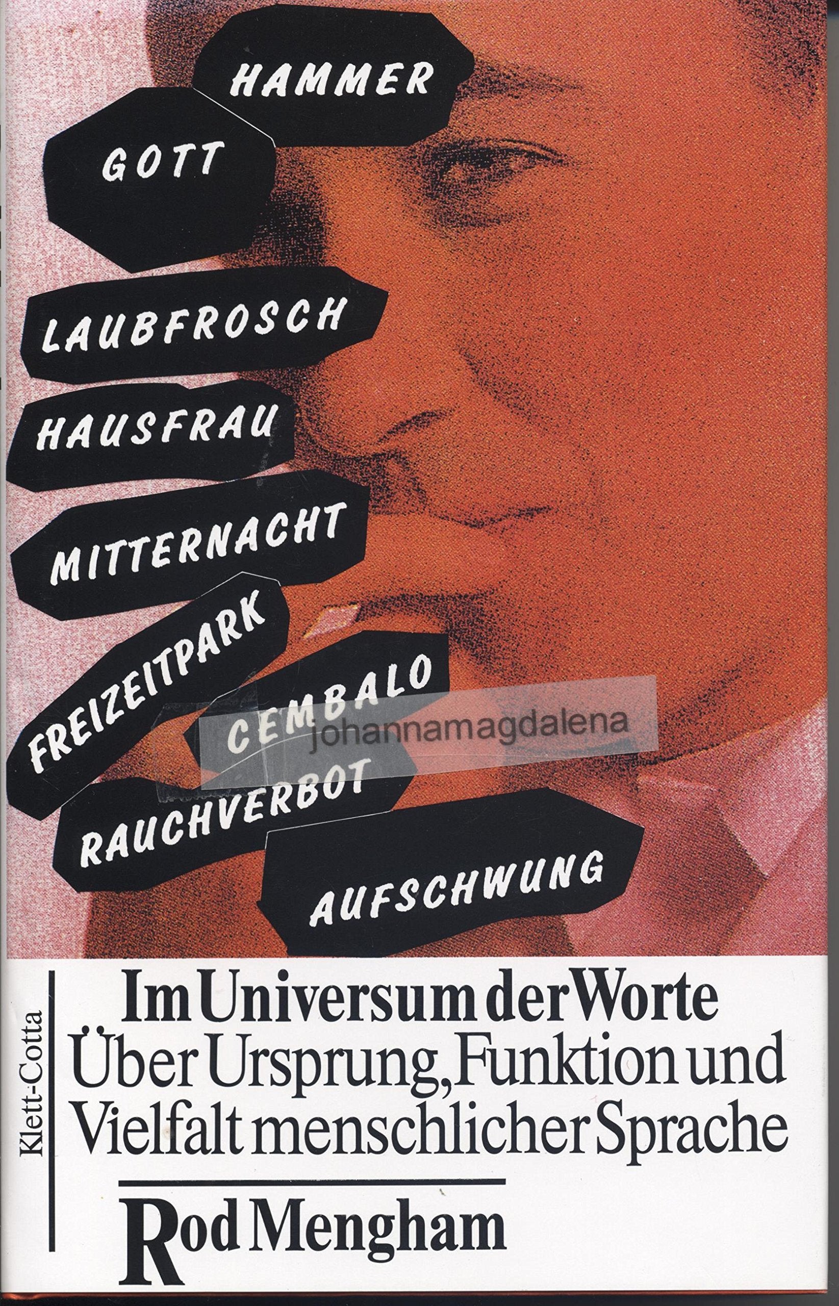 Im Universum der Worte: Über Ursprung, Funktion und Vielfalt menschlicher Sprache Books