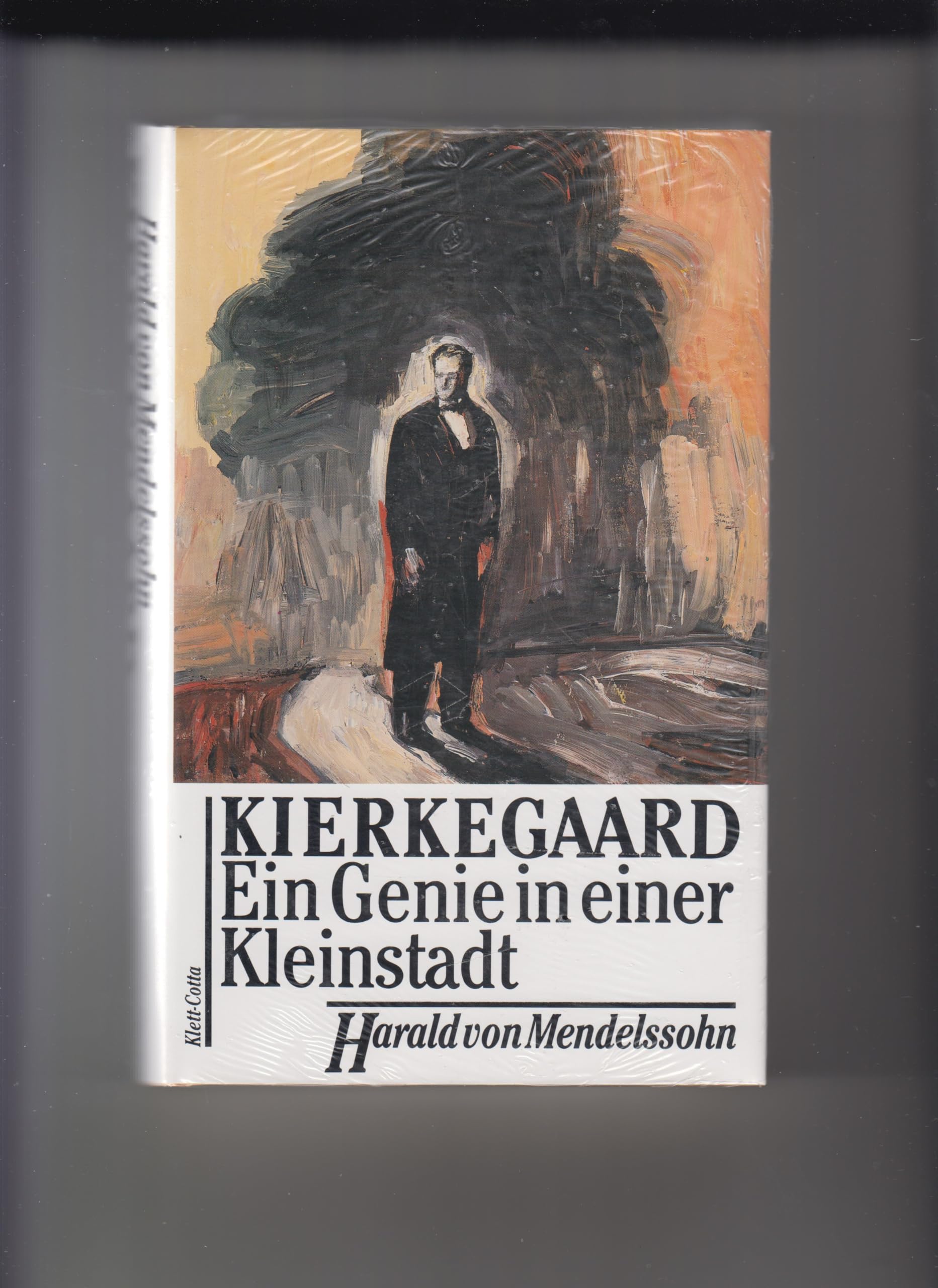 Sören Kierkegaard: Ein Genie in einer Kleinstadt Philosophy
