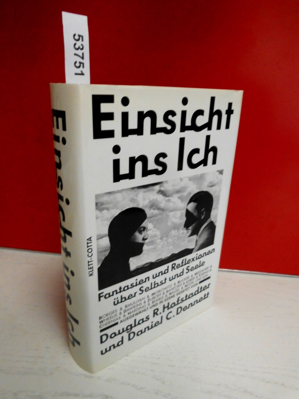 Einsicht ins Ich: Fantasien und Reflexionen über Selbst und Seele Psychology