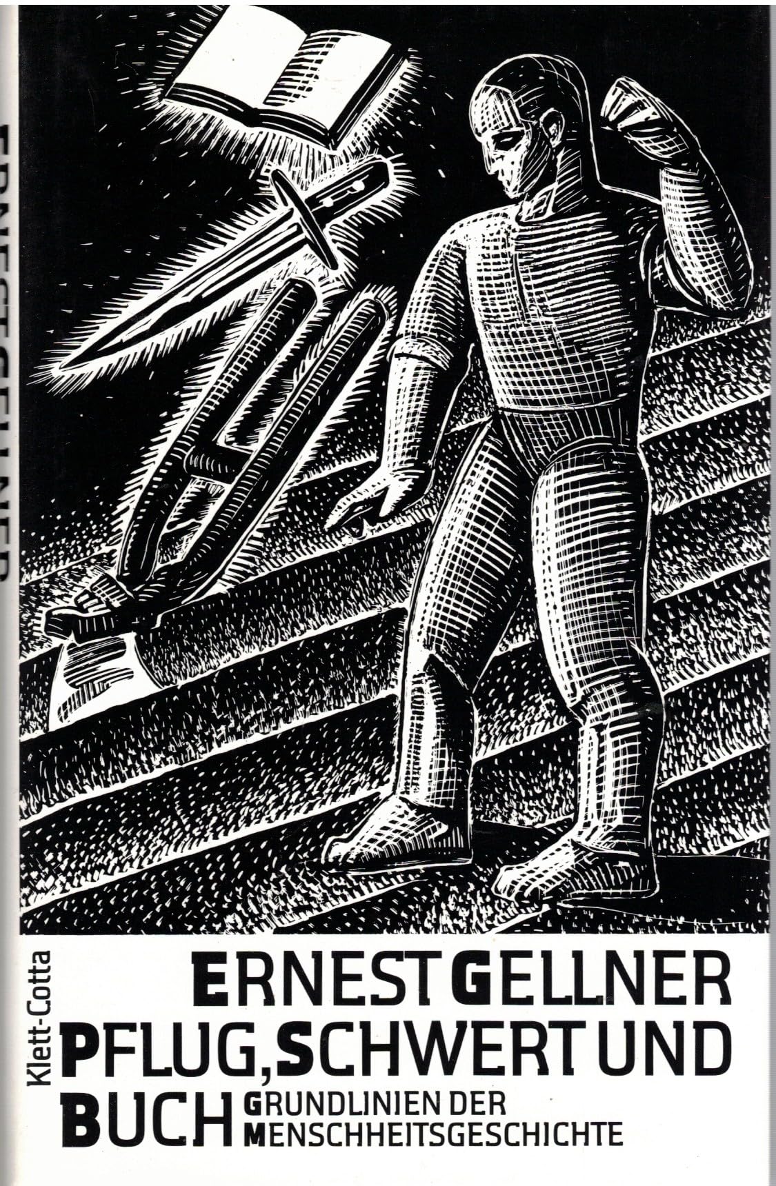 Pflug, Schwert und Buch. Grundlinien der Menschheitsgeschichte Politics & History