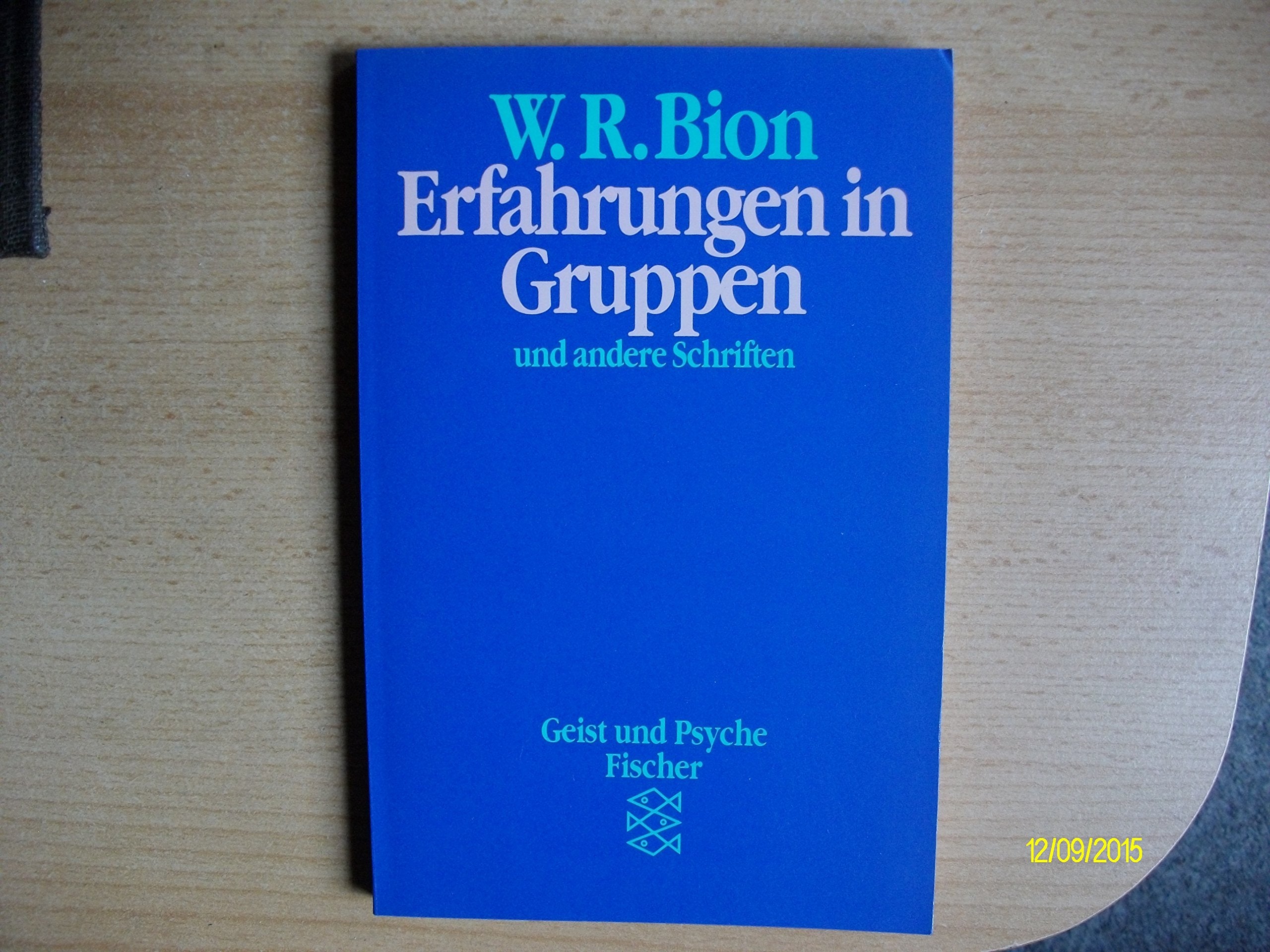 Erfahrungen in Gruppen: Mit e. Vorw. v. Hermann Beland (Konzepte der Humanwissenschaften) Medicine