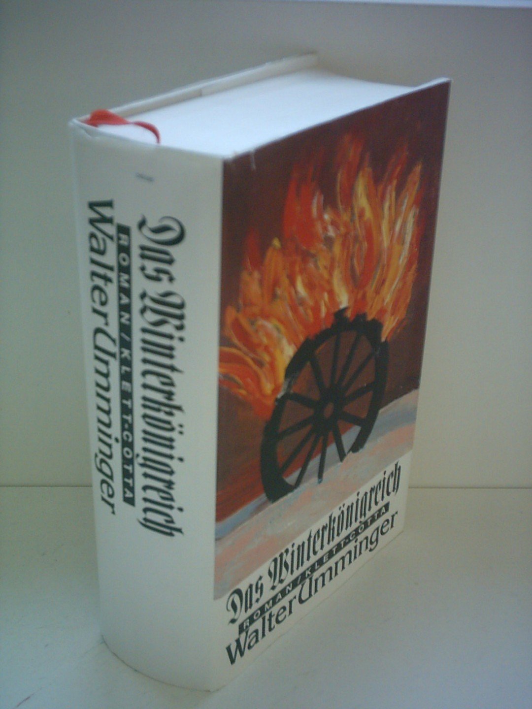 Das Winterkönigreich: Roman Fiction