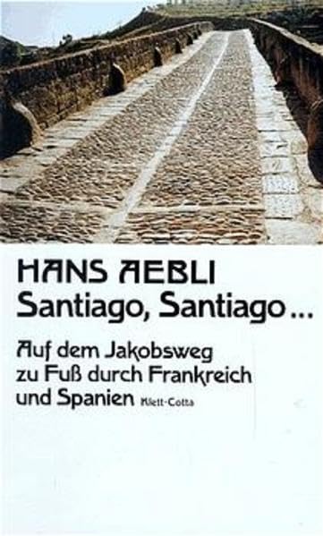 Santiago, Santiago Art & Literature Books