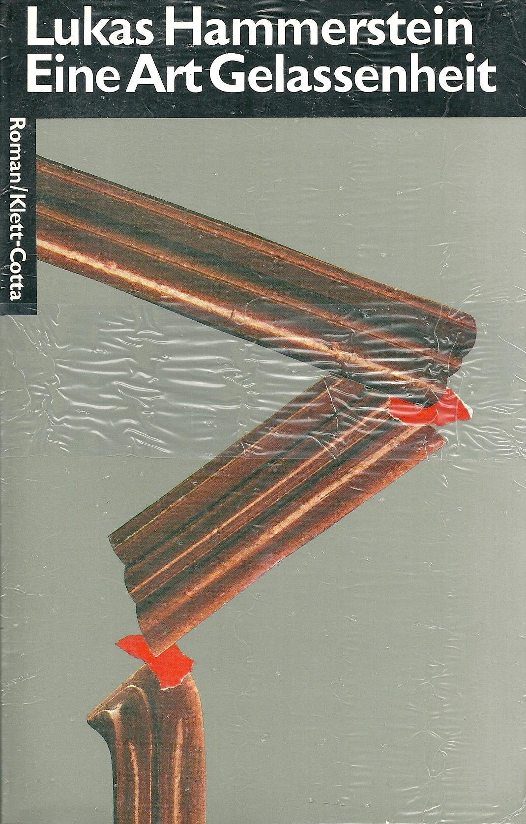 Eine Art Gelassenheit: Roman Fiction