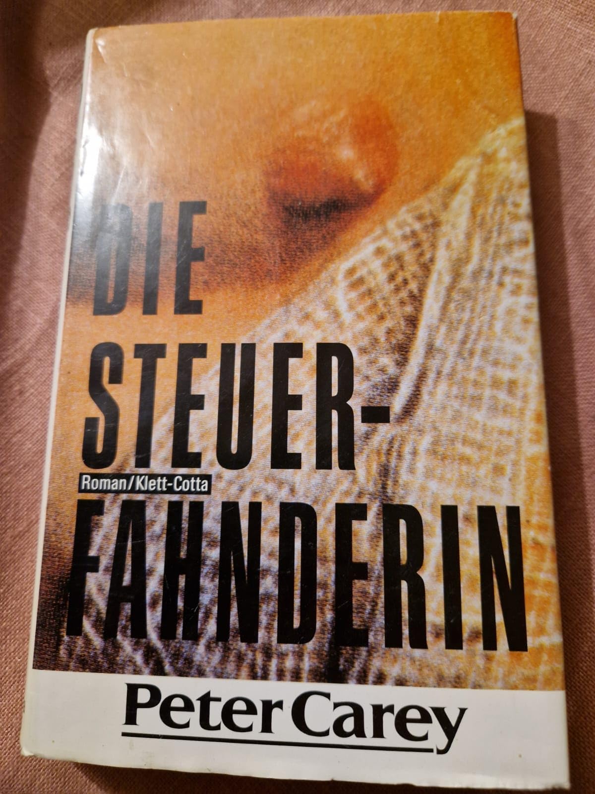 Die Steuerfahnderin: Roman Fiction