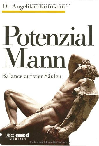 Potenzial Mann: Balance auf vier Säulen Health, Nutrition & Fitness