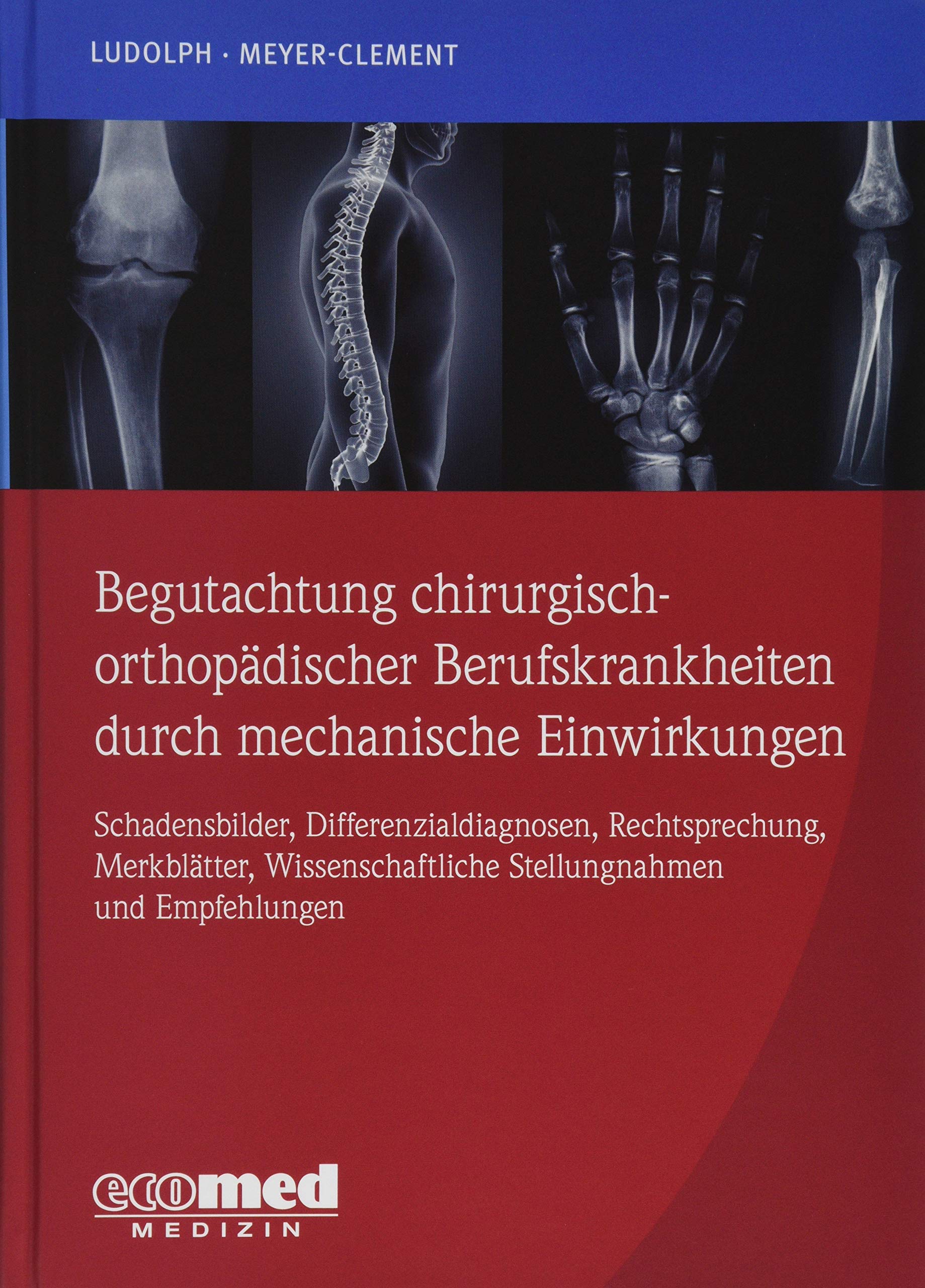 Begutachtung chirurgisch-orthopädischer Berufskrankheiten durch mechanische Einwirkungen book