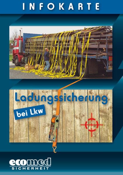 Infokarte Ladungssicherung bei Lkw: Verpackungseinheit 10 Stück Law