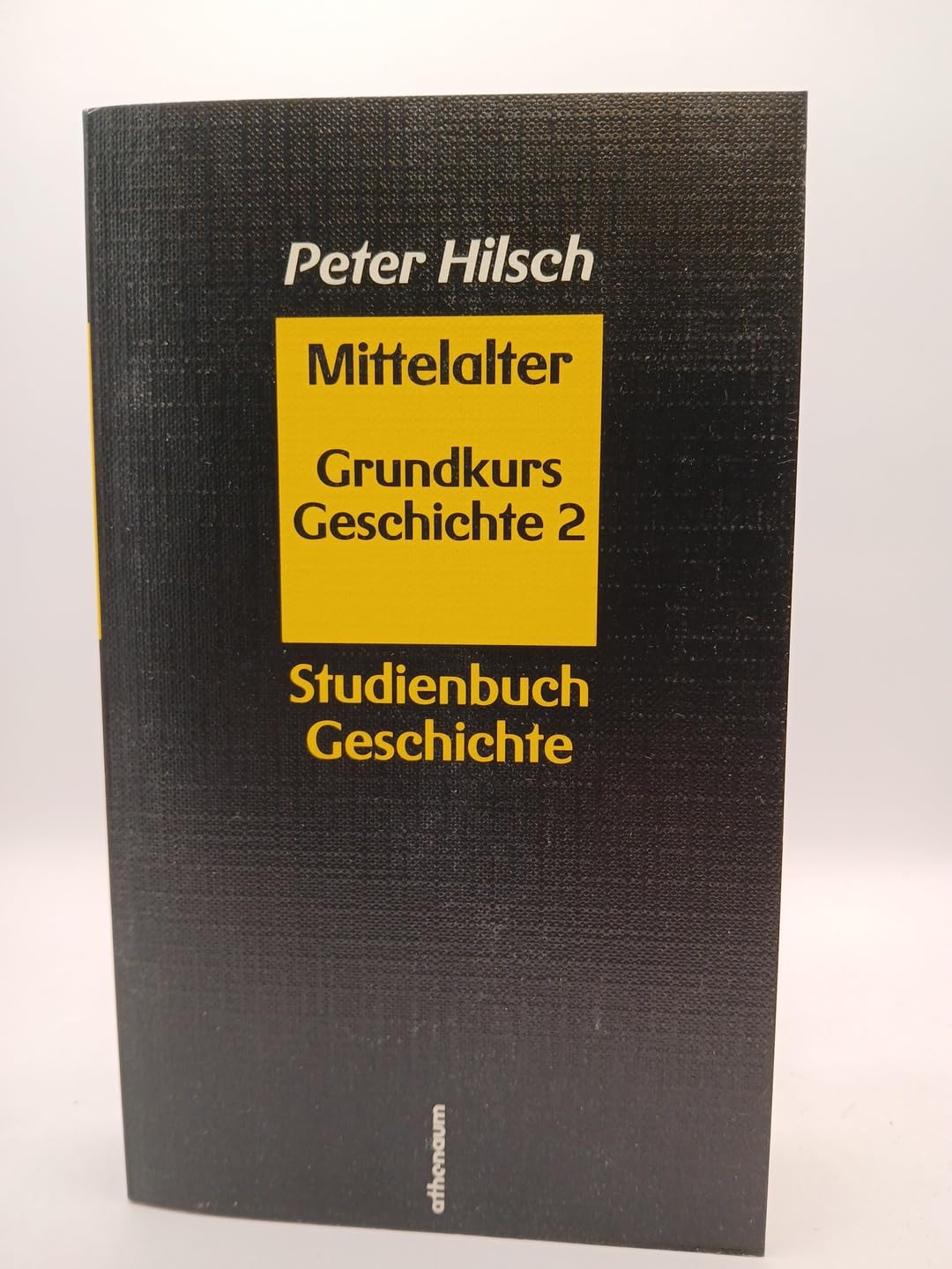 Mittelalter. ( Grundkurs Geschichte, 2) Professional & Reference Books