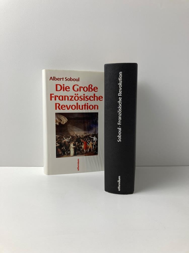 Die Große Französische Revolution. Ein Abriß ihrer Geschichte 1789 - 1799 Politics & History