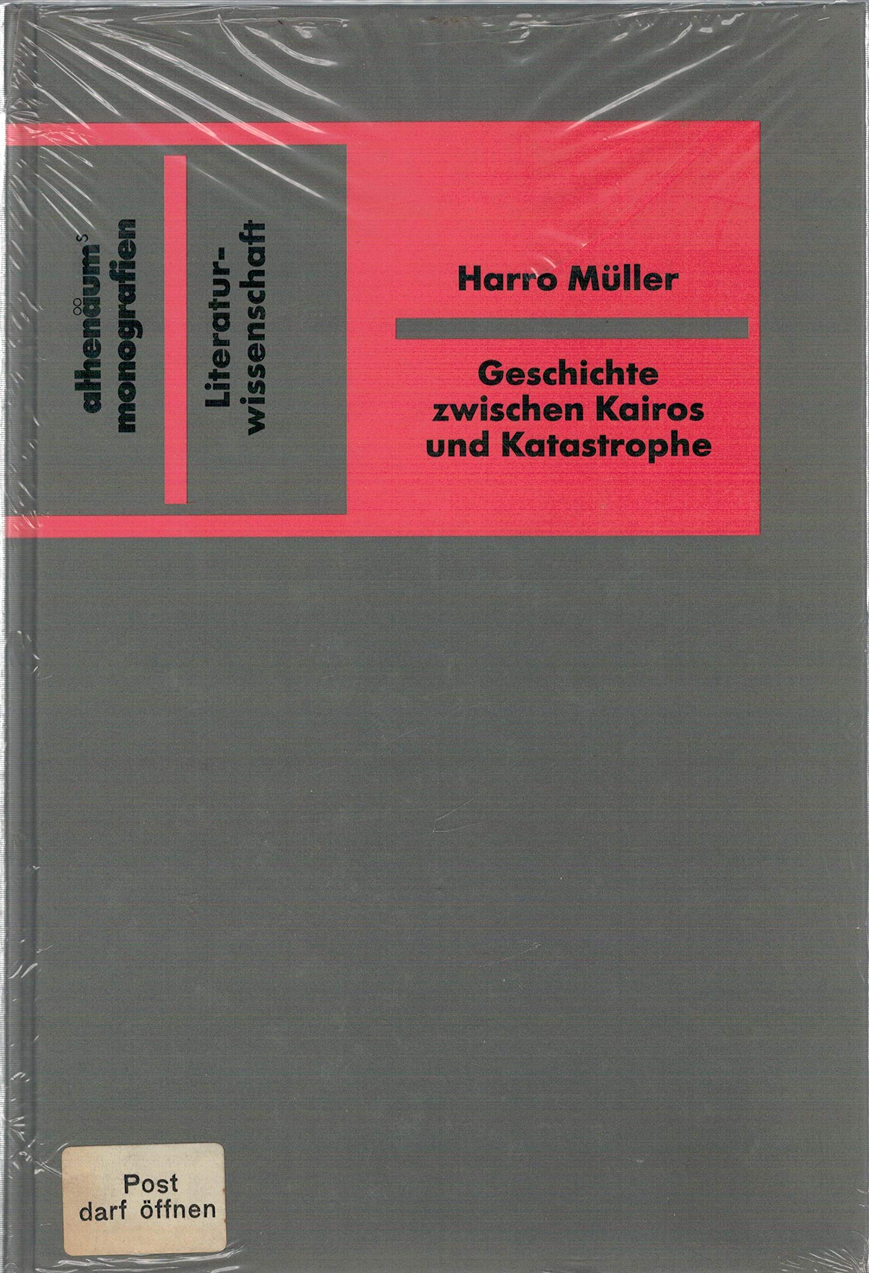 Geschichte zwischen Kairos und Katastrophe. Historische Romane im 20. Jahrhundert Books