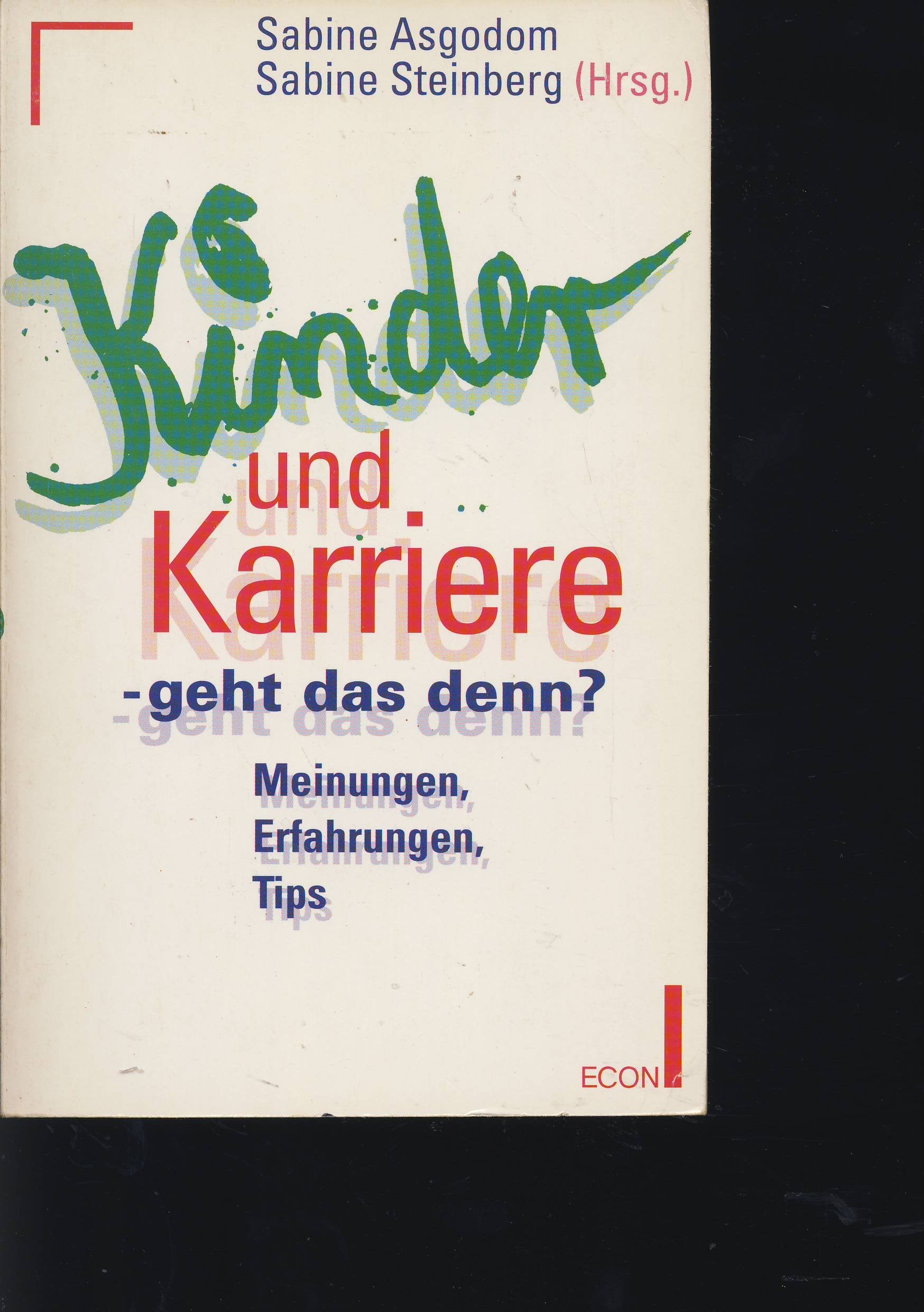 Kinder und Karriere, geht das denn? Meinungen, Erfahrungen, Tips. ( ECON Sachbuch). Books