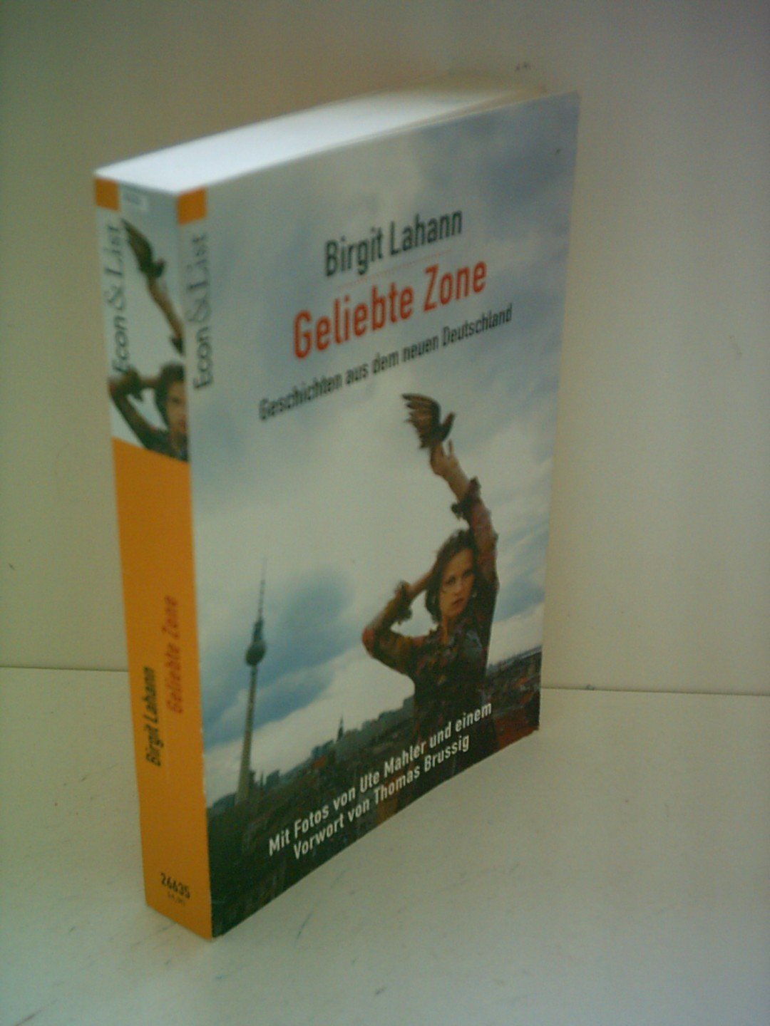 Geliebte Zone Memories
