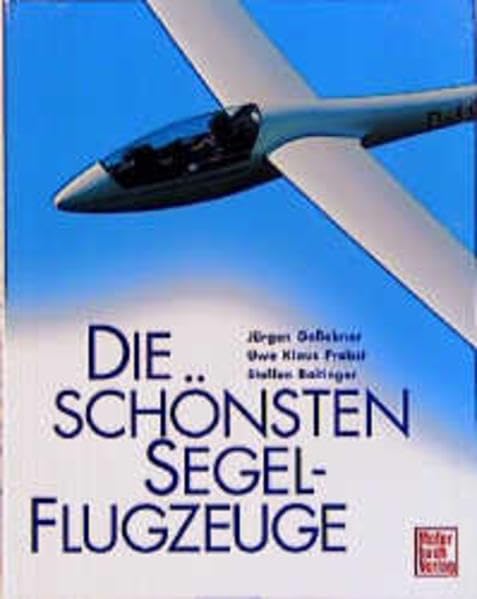 Die schönsten Segelflugzeuge Business & Technology