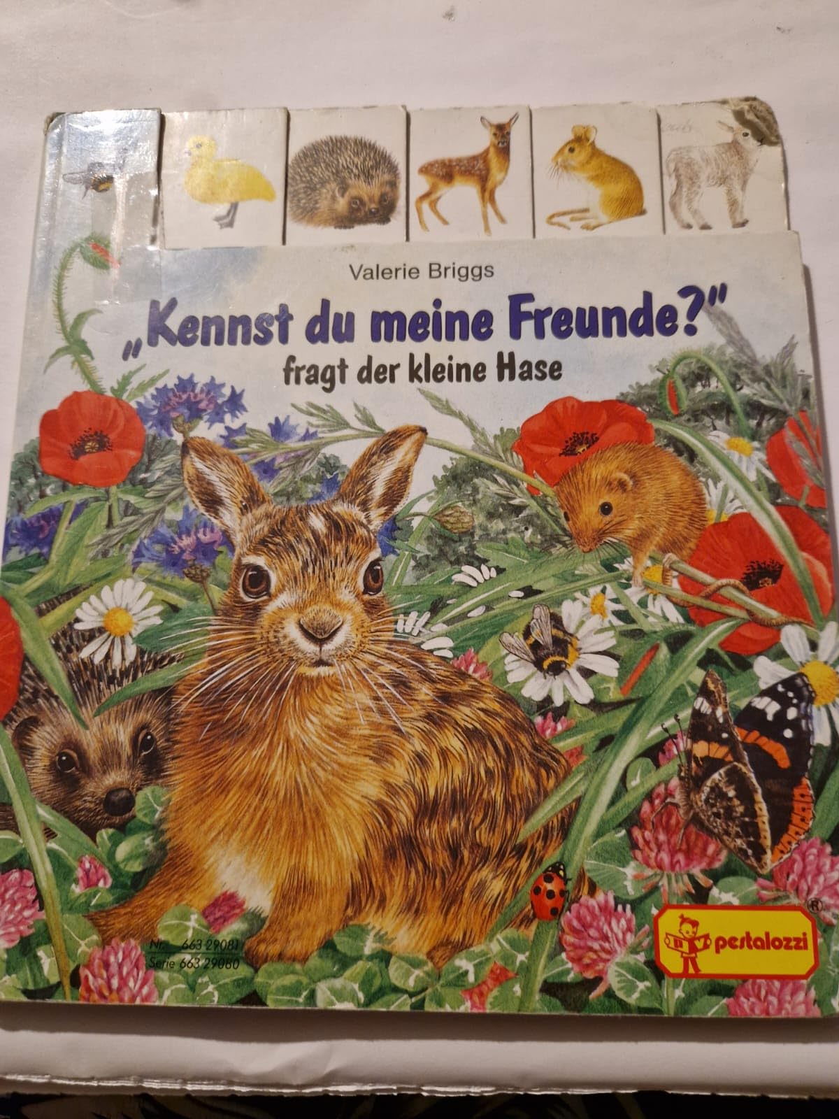 'Kennst du meine Freunde?', fragt der kleine Hase Children's books